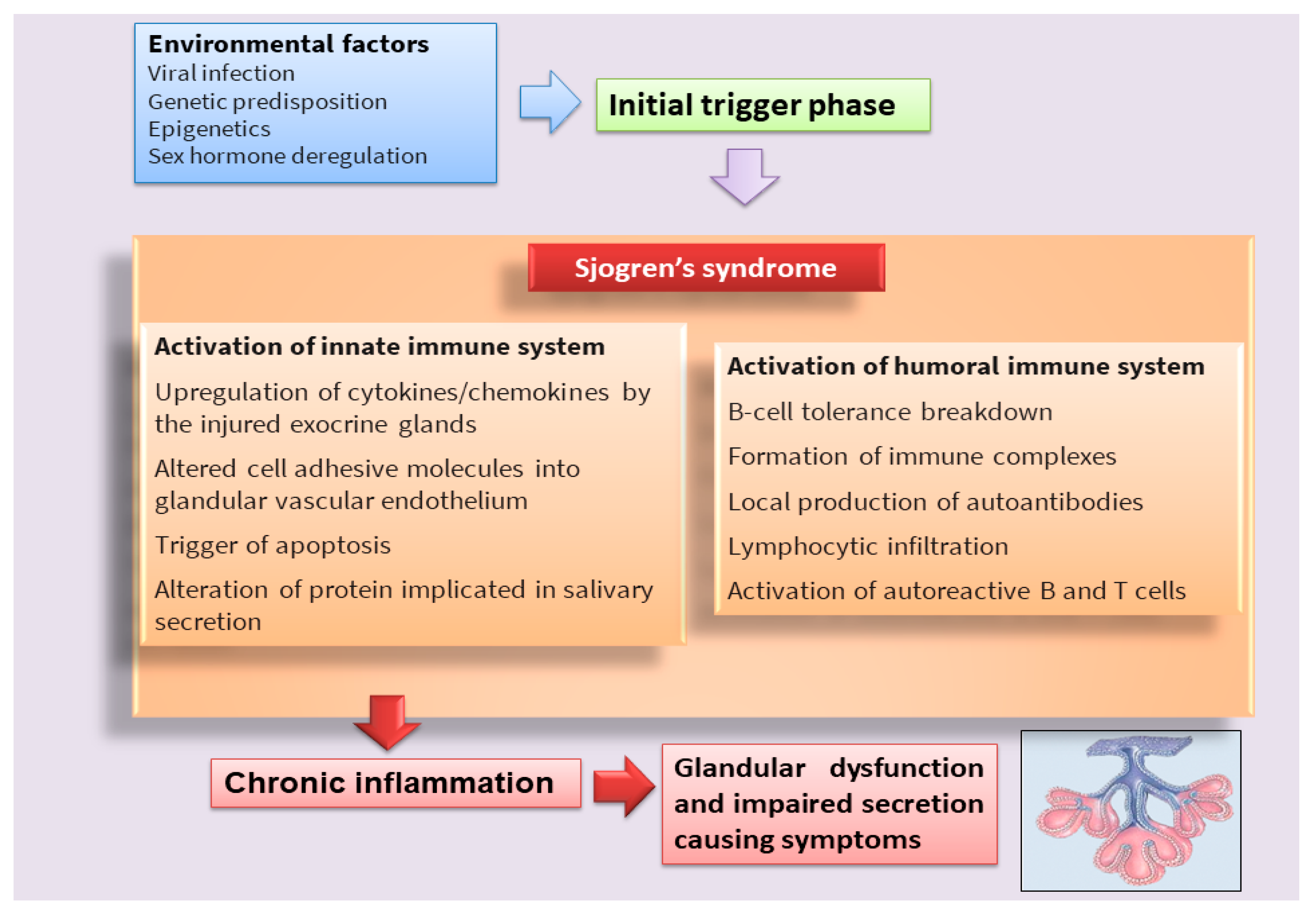 IJMS Free FullText Molecular Mechanisms Linking Inflammation to