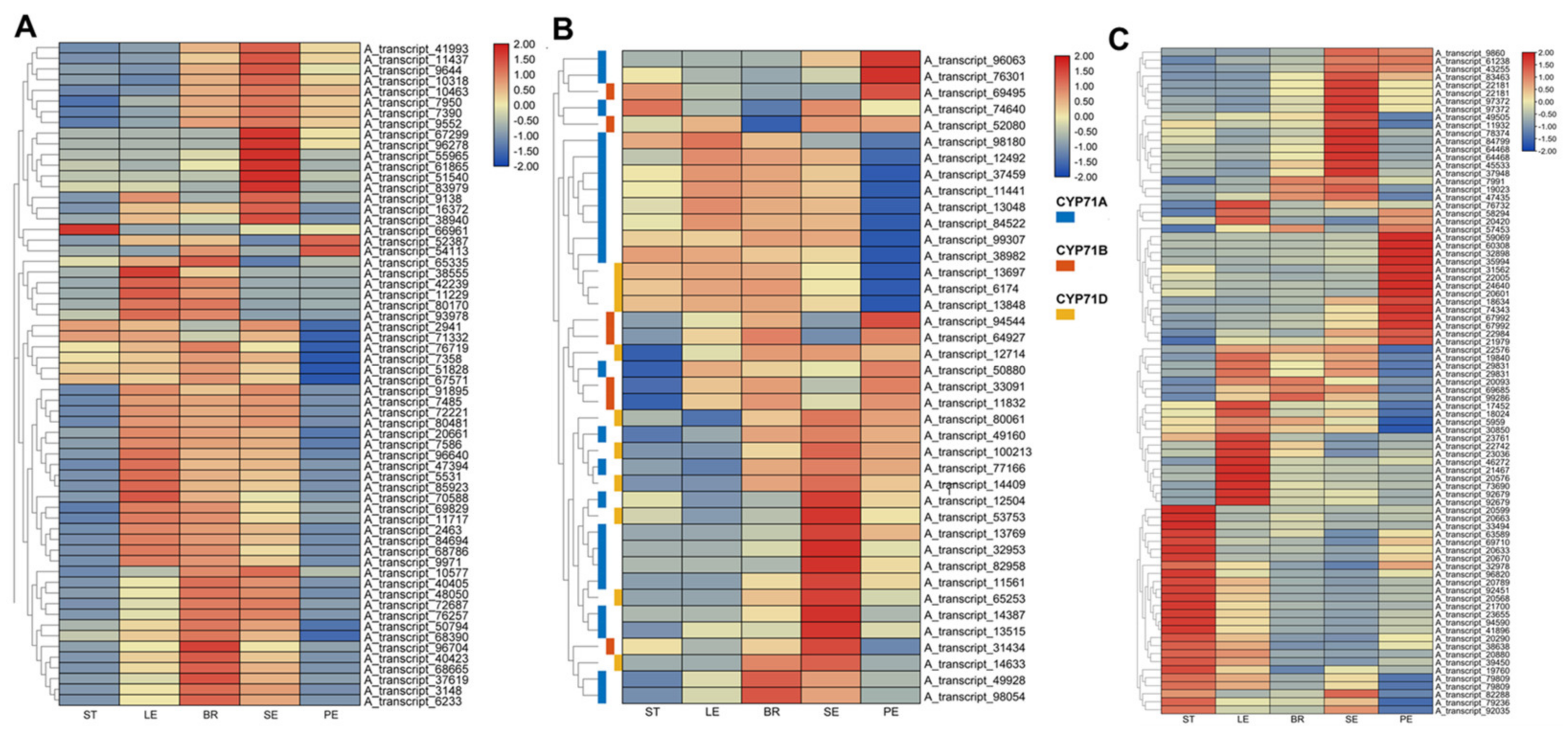 Ijms 23 13231 g004 Ijms 23 13231 g004
