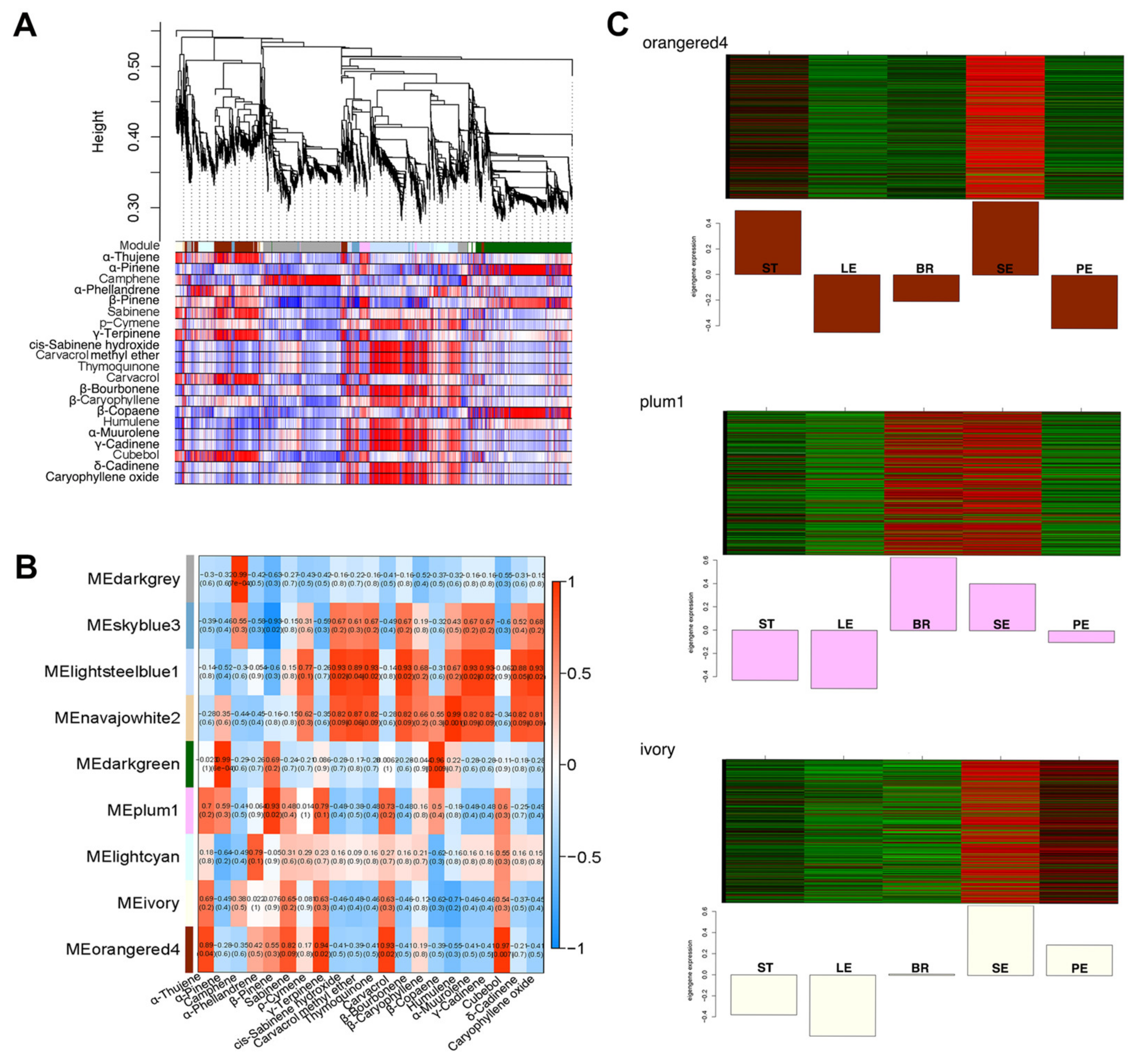 Ijms 23 13231 g005 Ijms 23 13231 g005