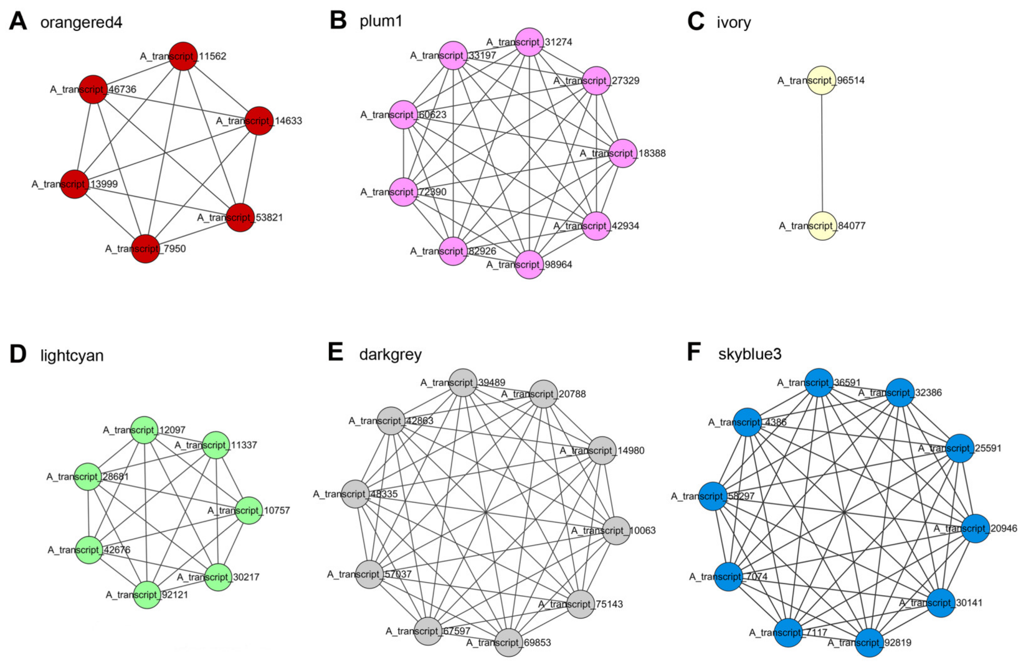 Ijms 23 13231 g007 Ijms 23 13231 g007