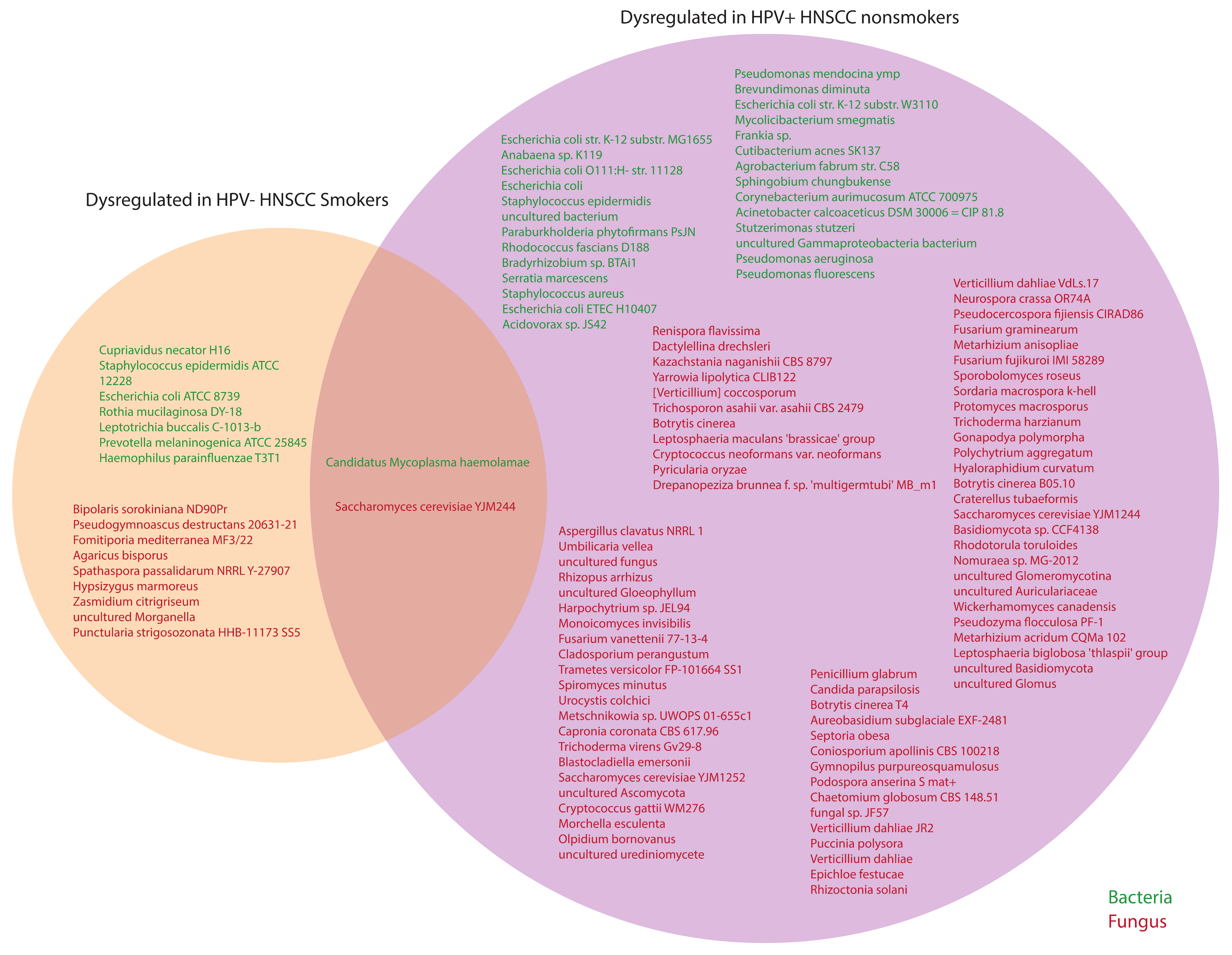 Ijms 23 13250 g006 Ijms 23 13250 g006