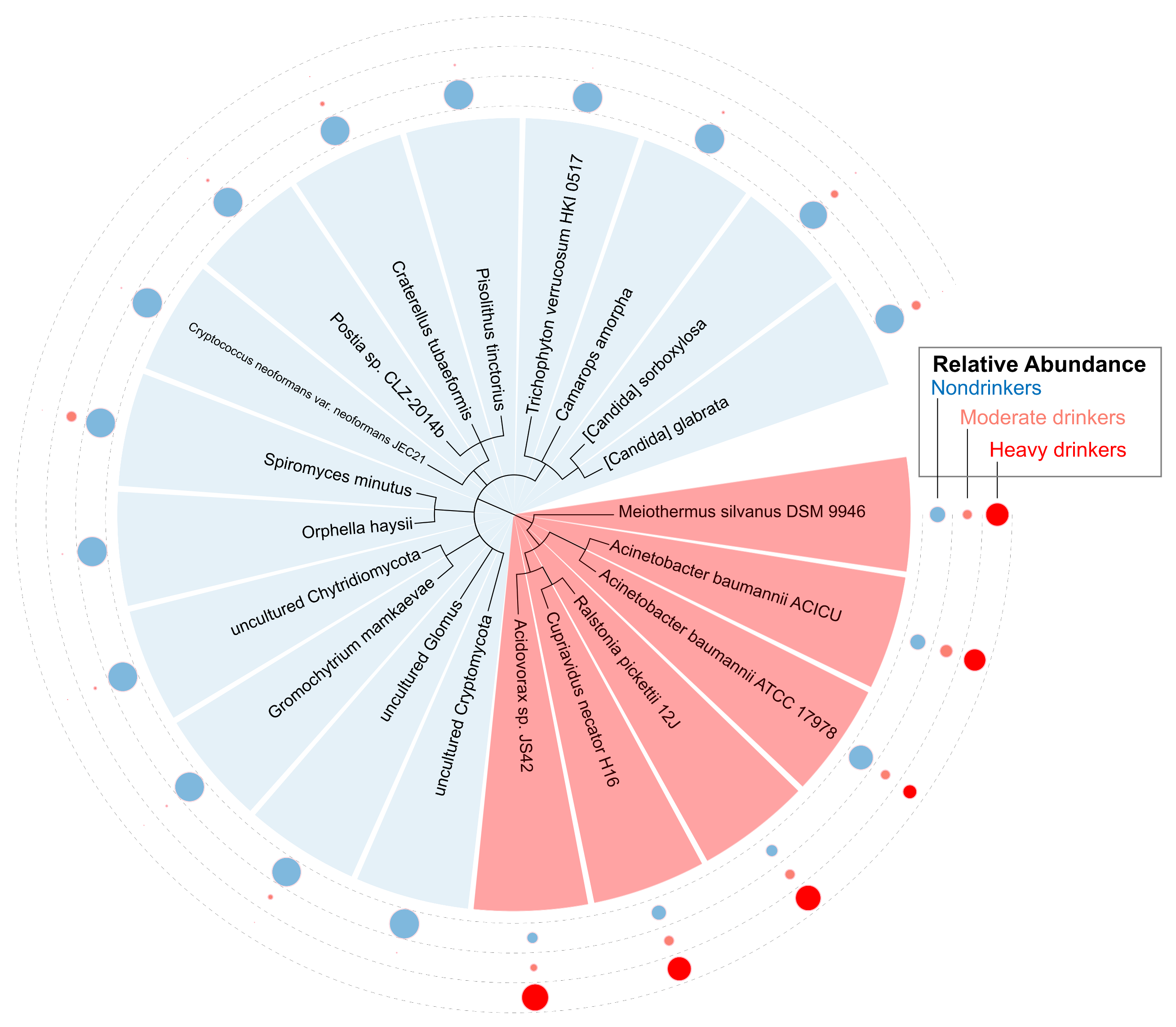 Ijms 23 13250 g007 Ijms 23 13250 g007