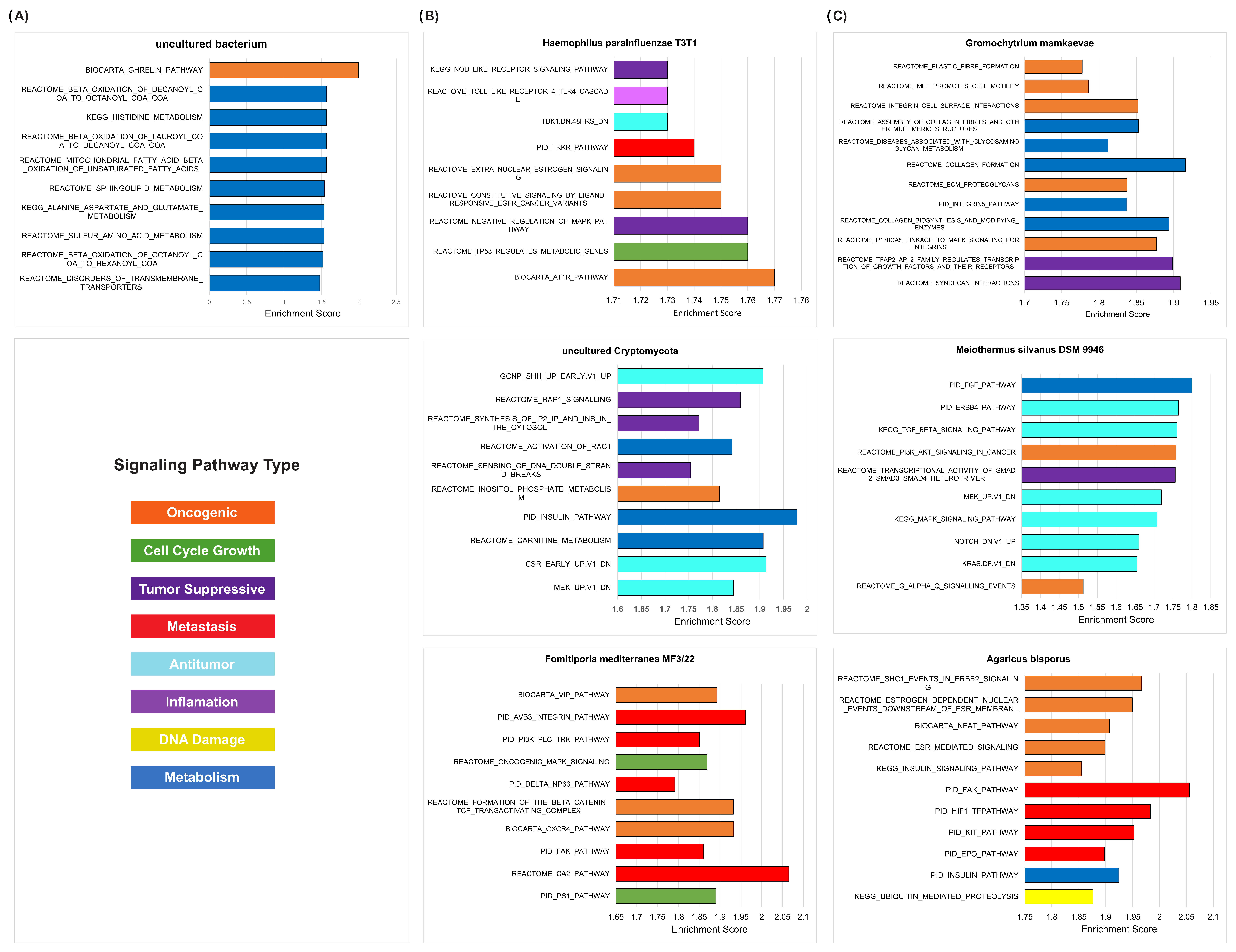 Ijms 23 13250 g009 Ijms 23 13250 g009