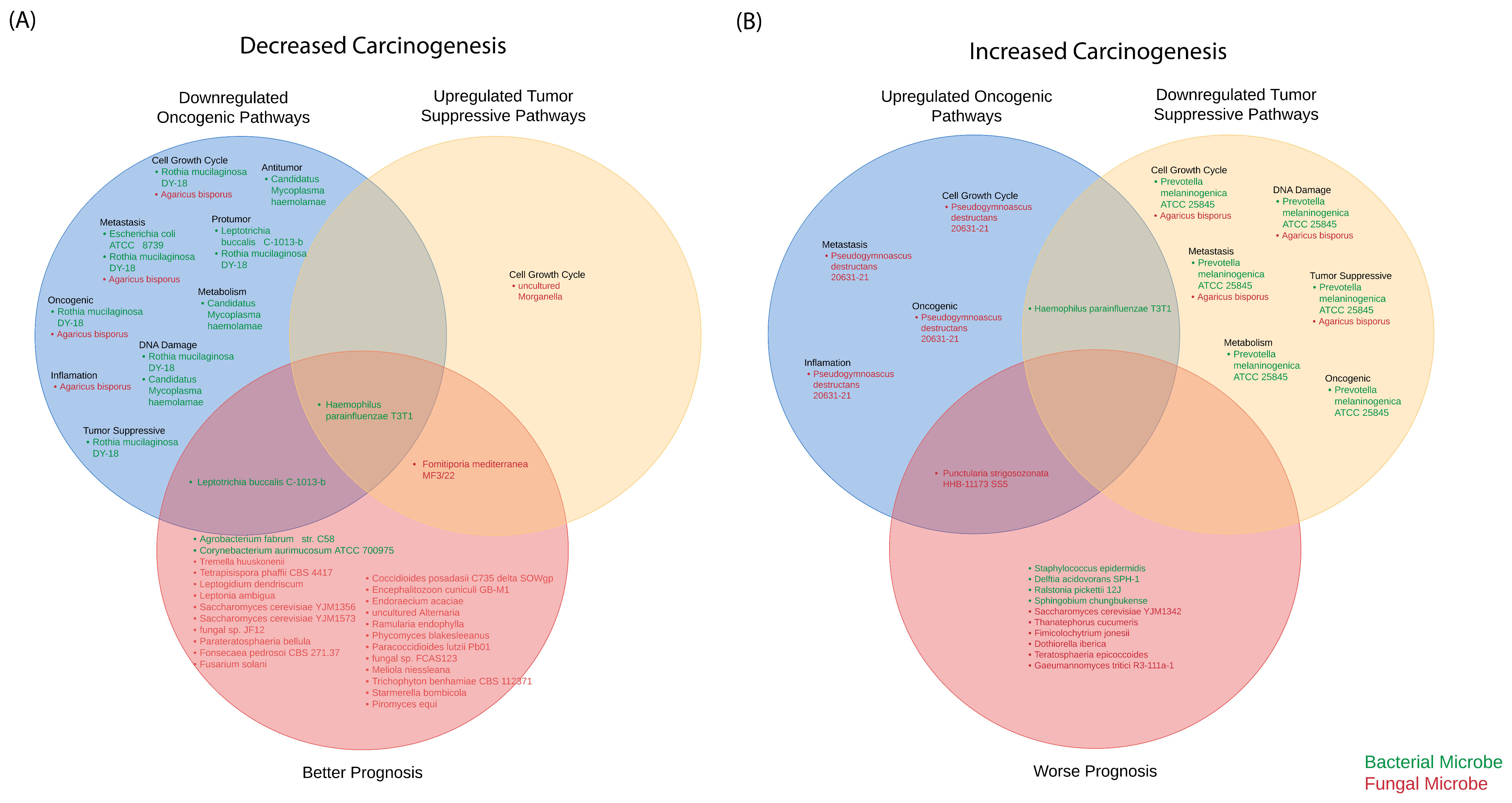 Ijms 23 13250 g010 Ijms 23 13250 g010