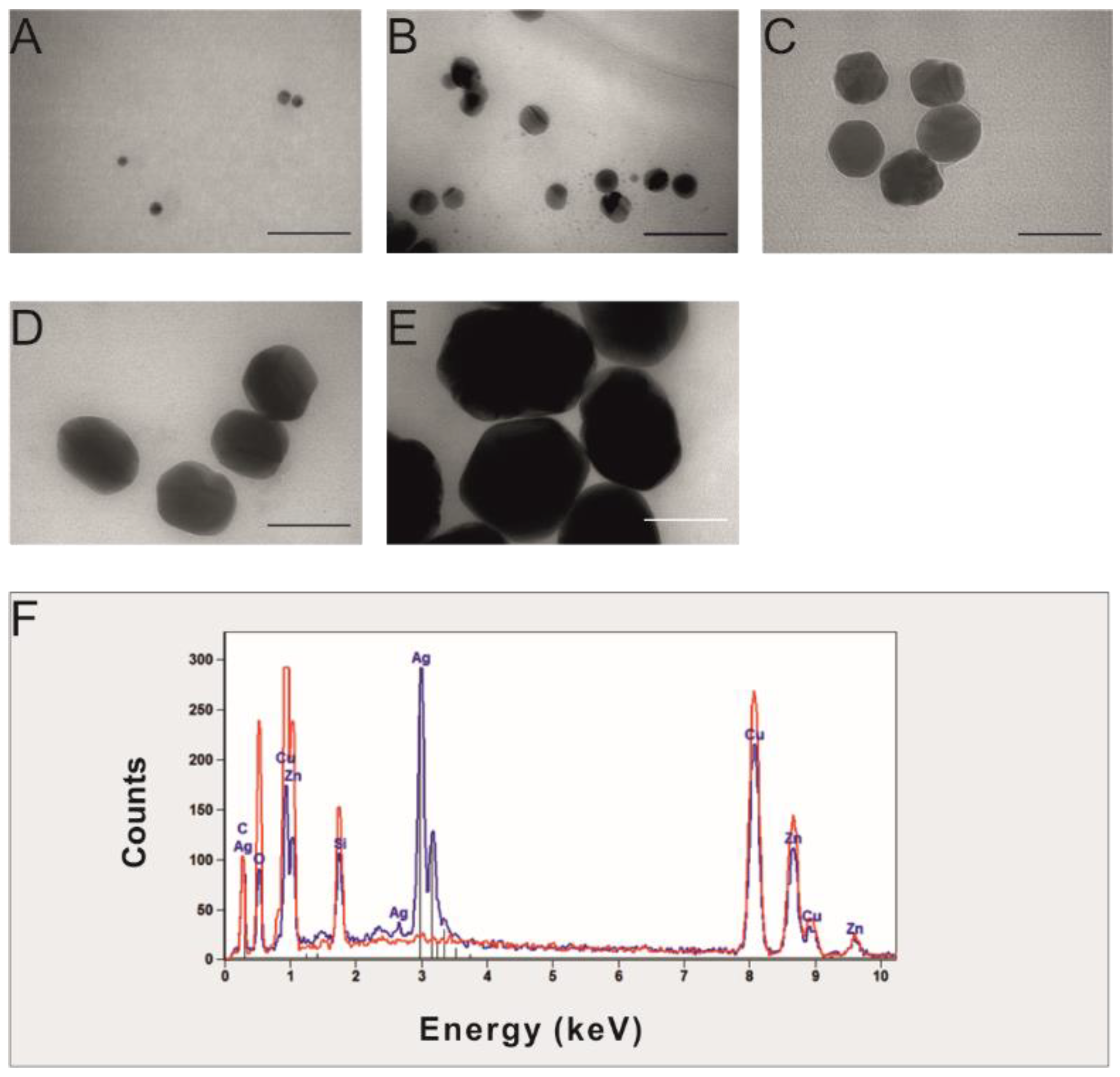 Ijms 23 13255 g001 Ijms 23 13255 g001