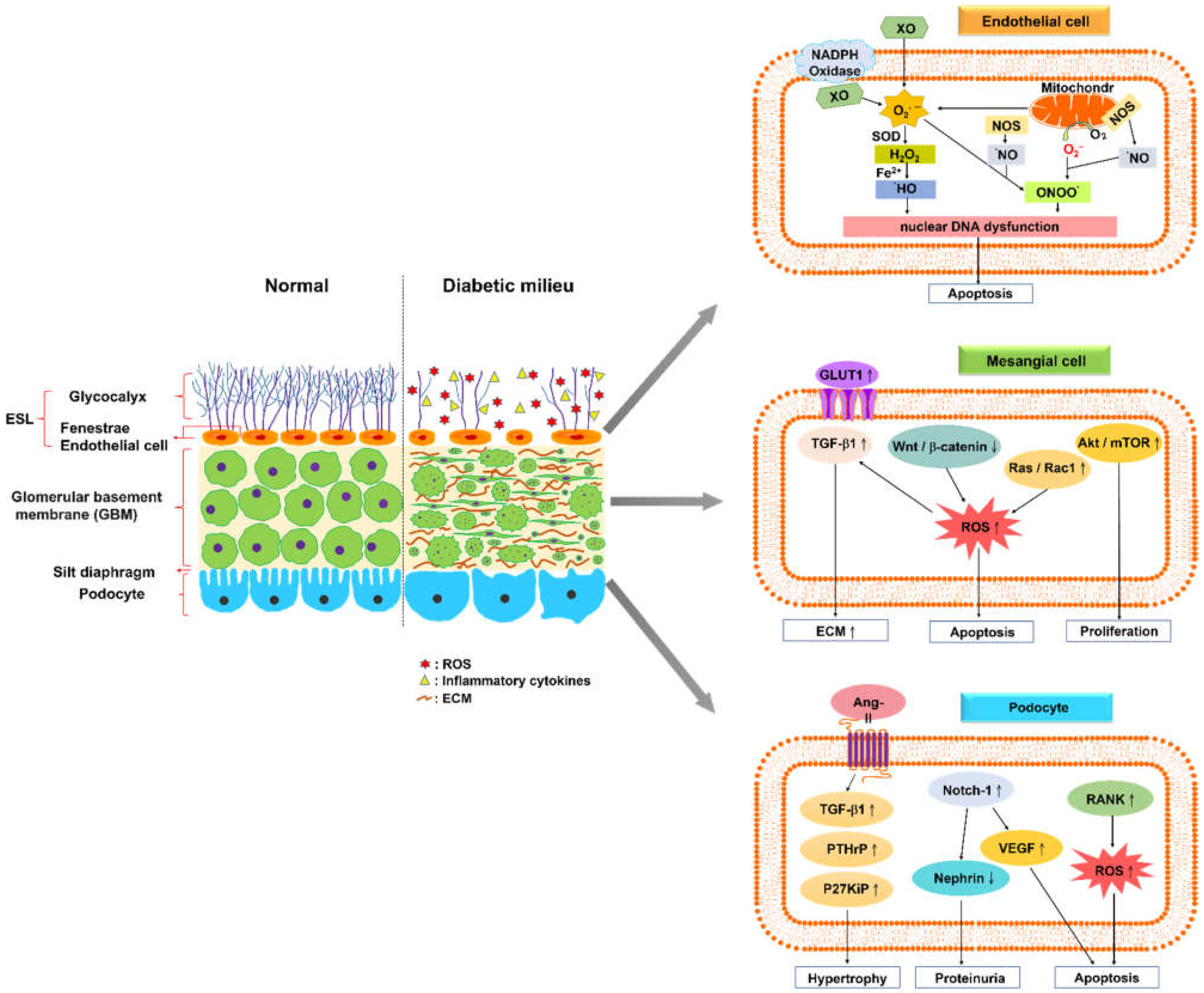 Ijms 23 13263 g001 Ijms 23 13263 g001