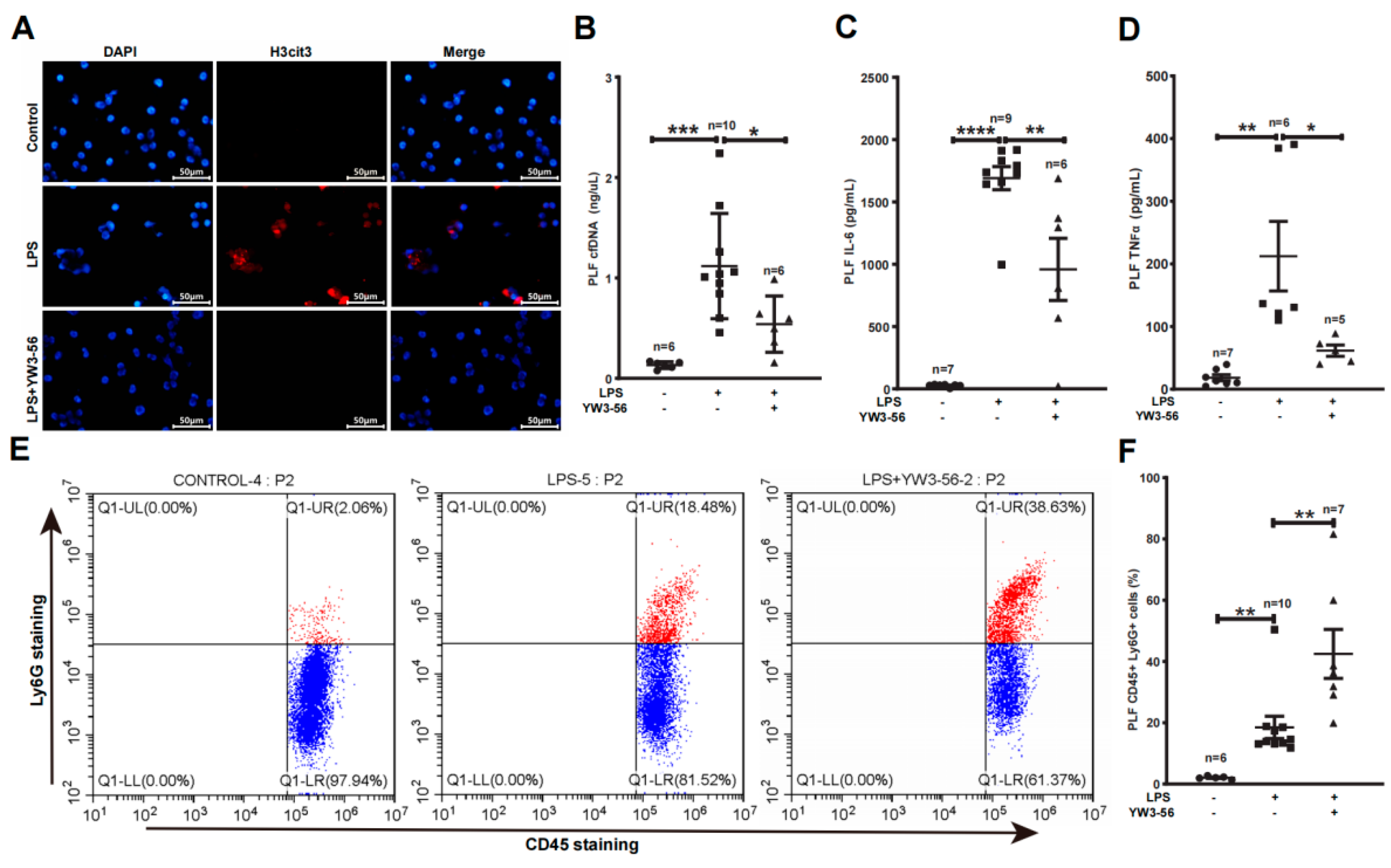 Ijms 23 13264 g003 Ijms 23 13264 g003