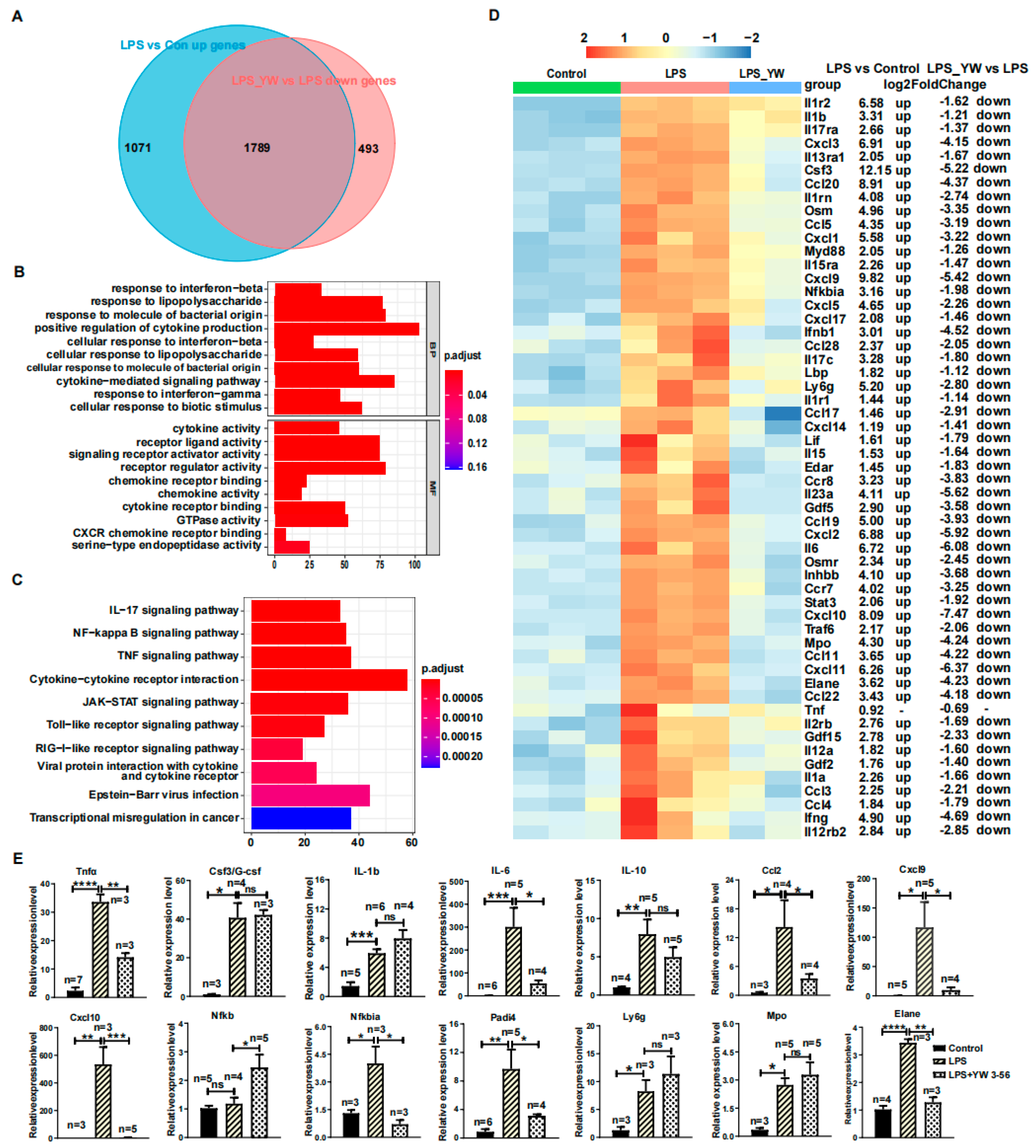 Ijms 23 13264 g006 Ijms 23 13264 g006