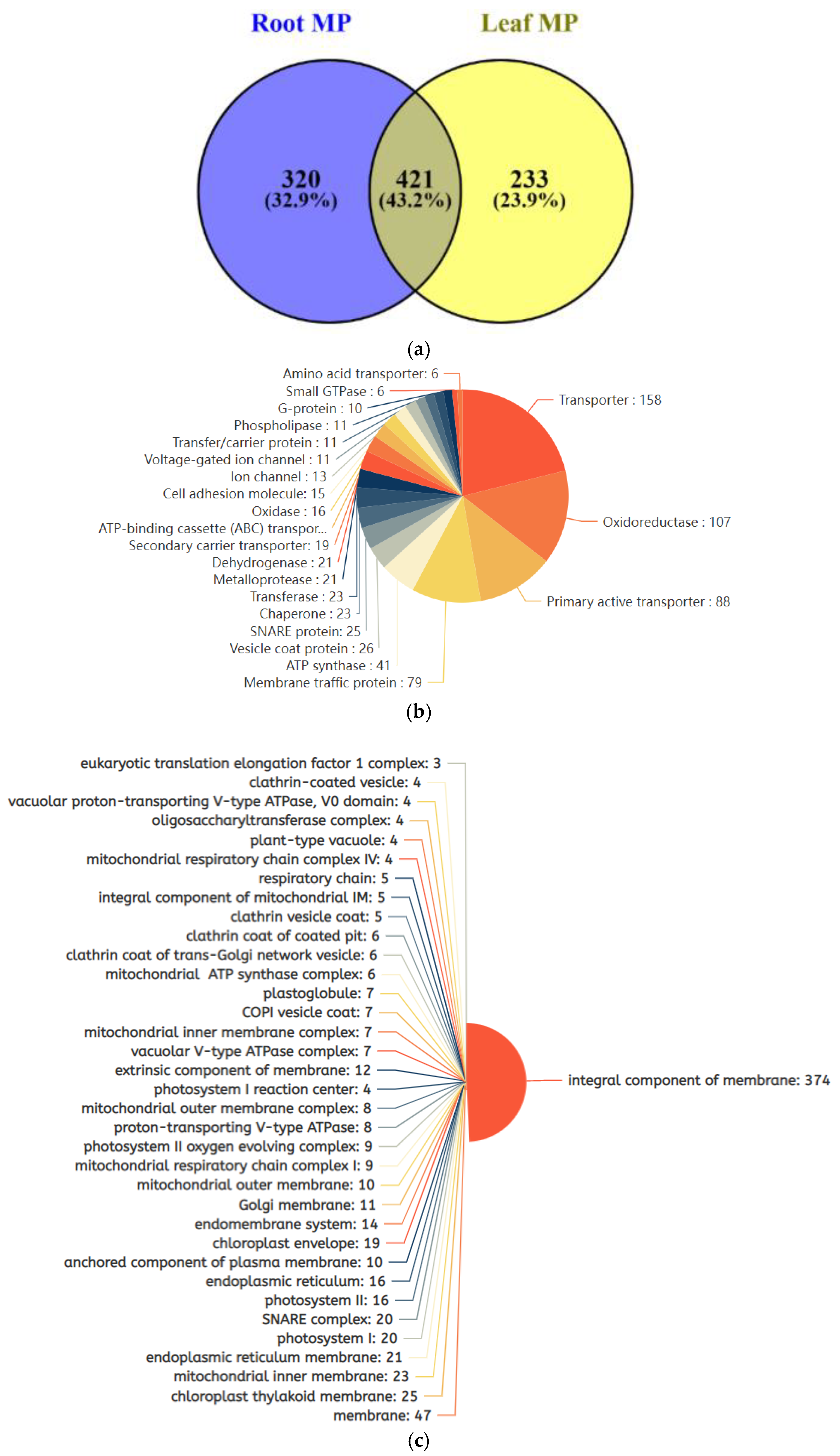 Ijms 23 13270 g004a Ijms 23 13270 g004a