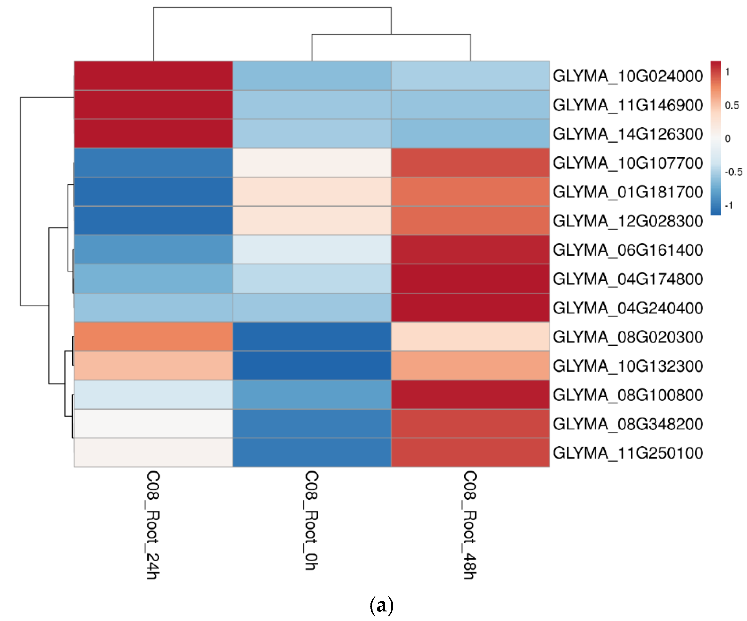 Ijms 23 13270 g008a Ijms 23 13270 g008a