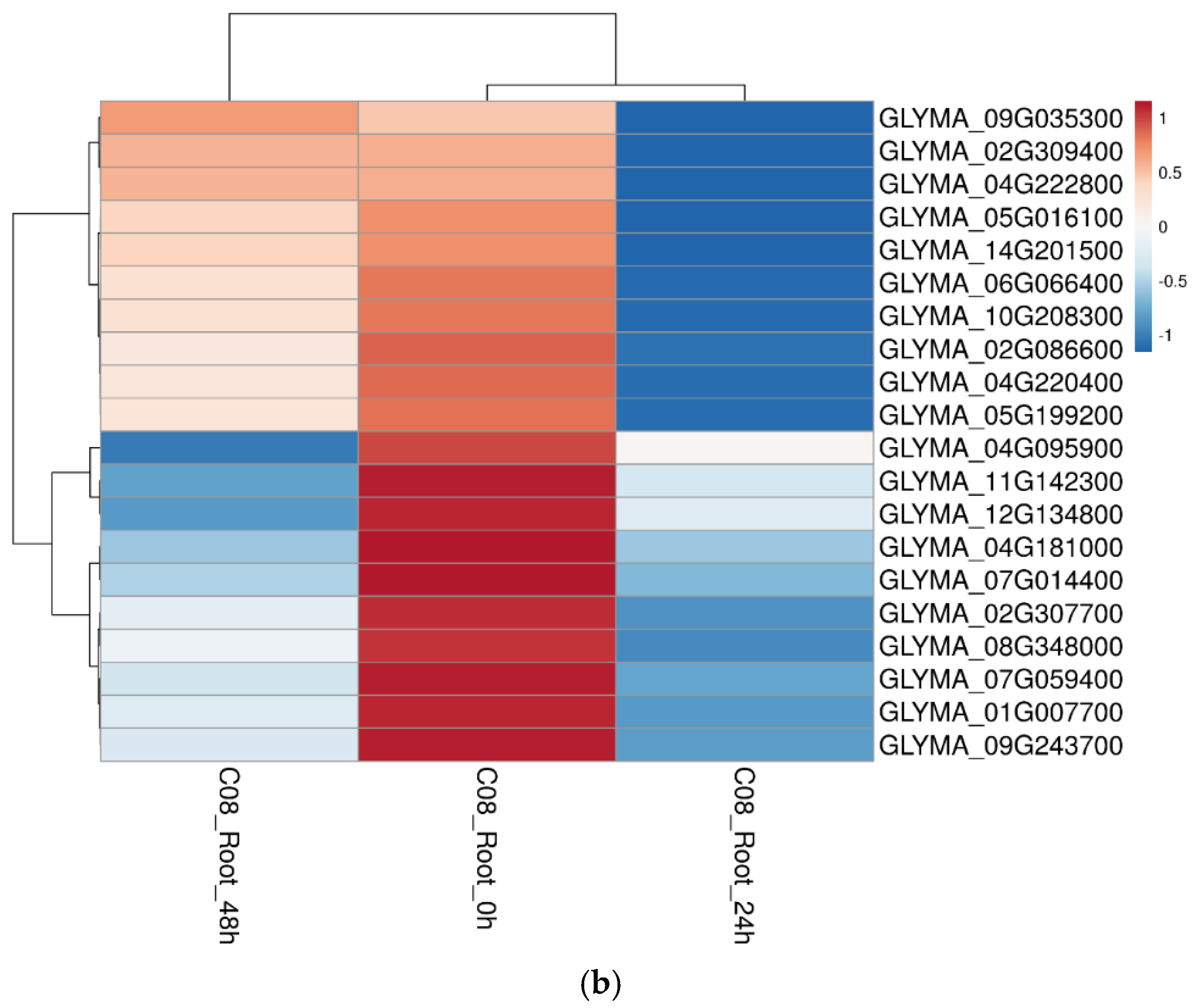 Ijms 23 13270 g008b Ijms 23 13270 g008b