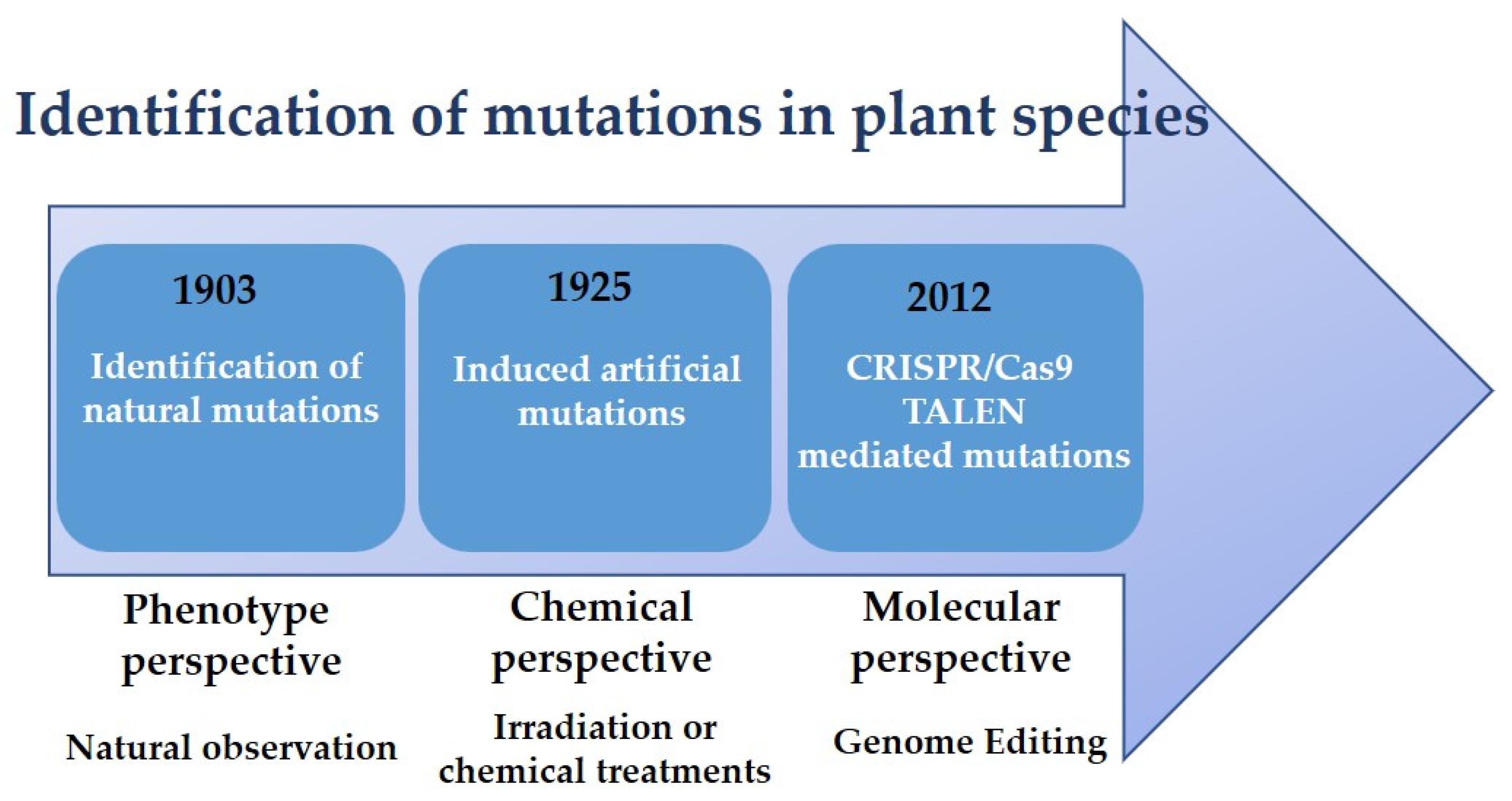 Ijms free full text spontaneous artificial and genome editing