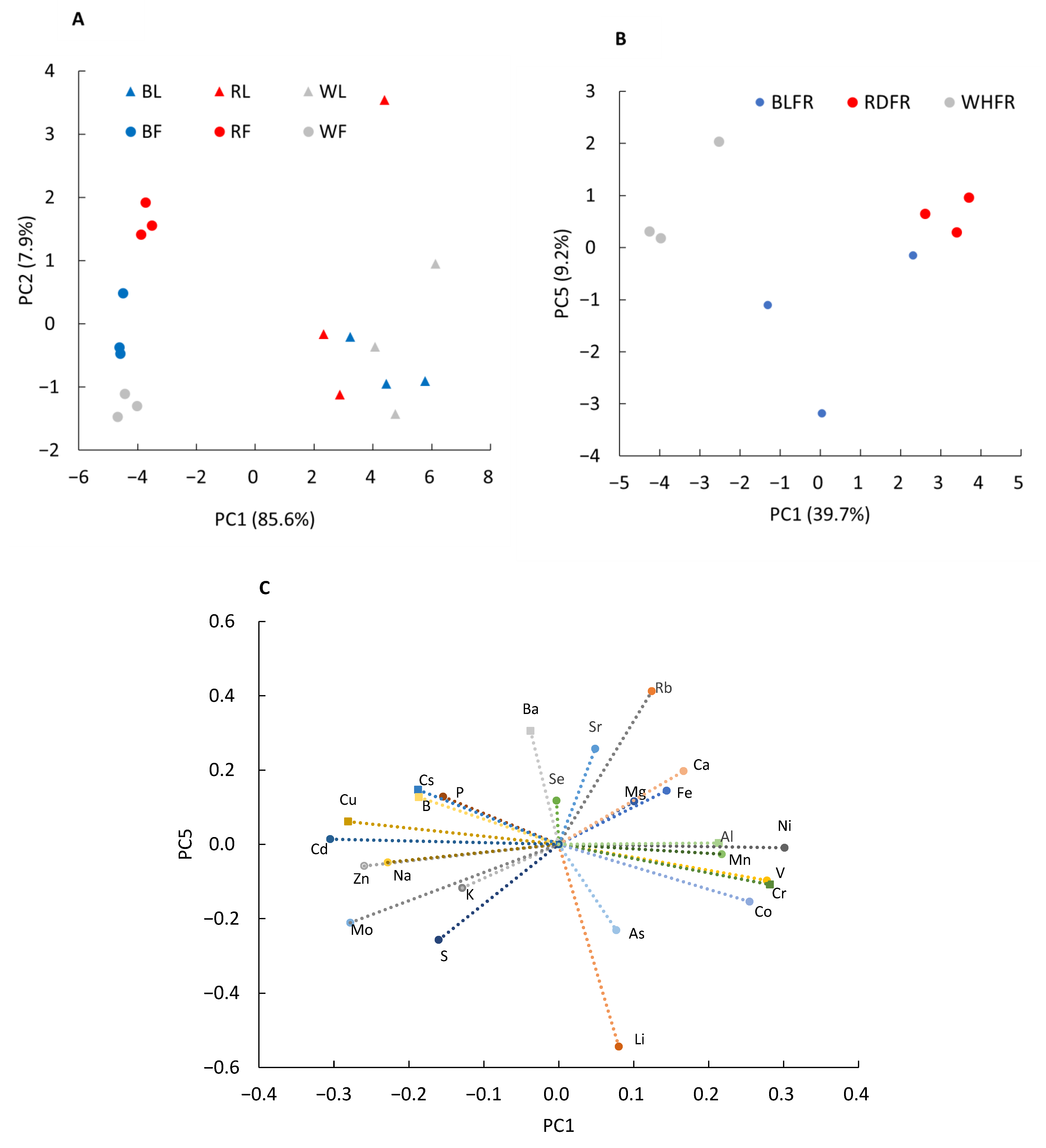 Ijms 23 13288 g006 Ijms 23 13288 g006
