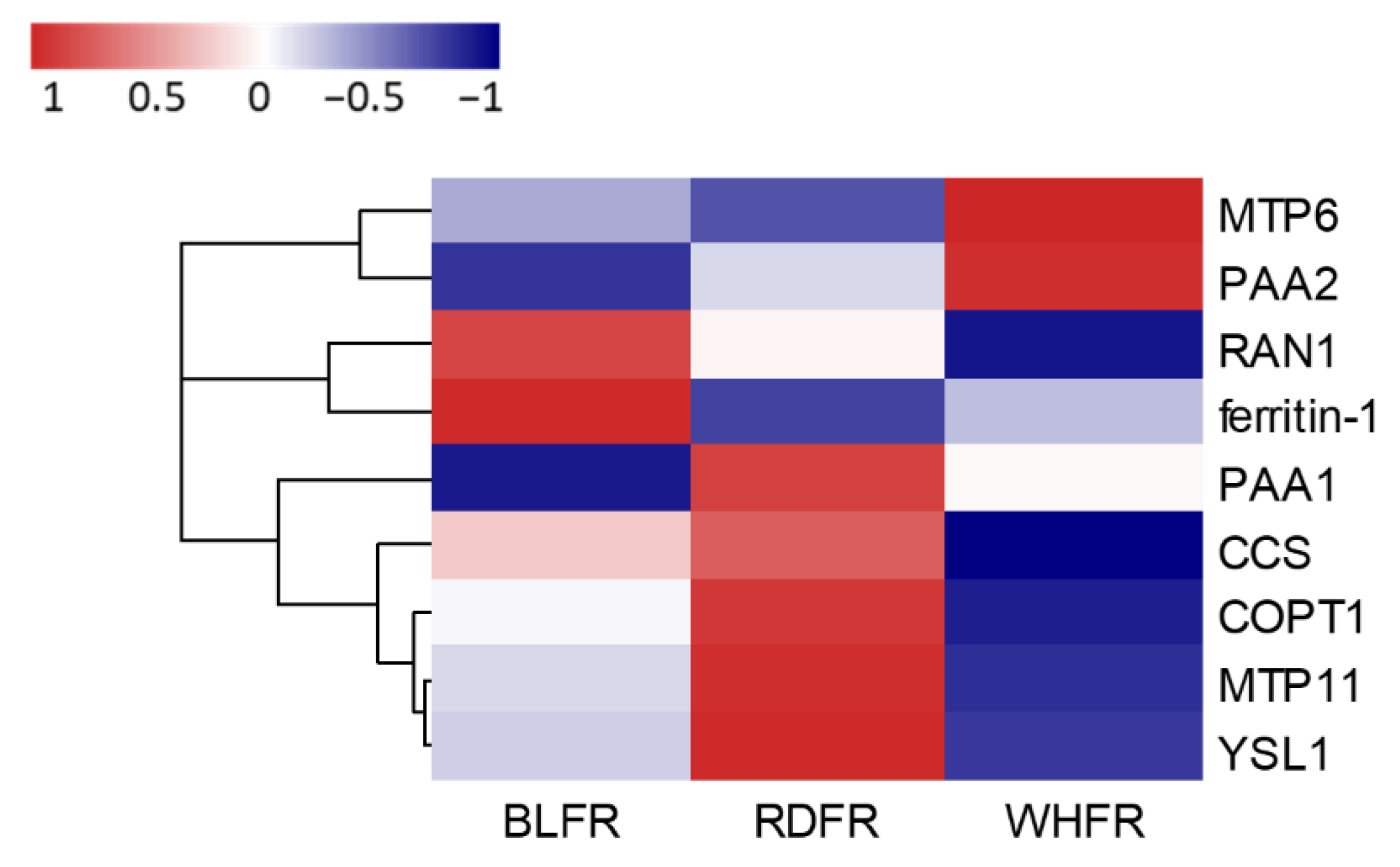 Ijms 23 13288 g012 Ijms 23 13288 g012