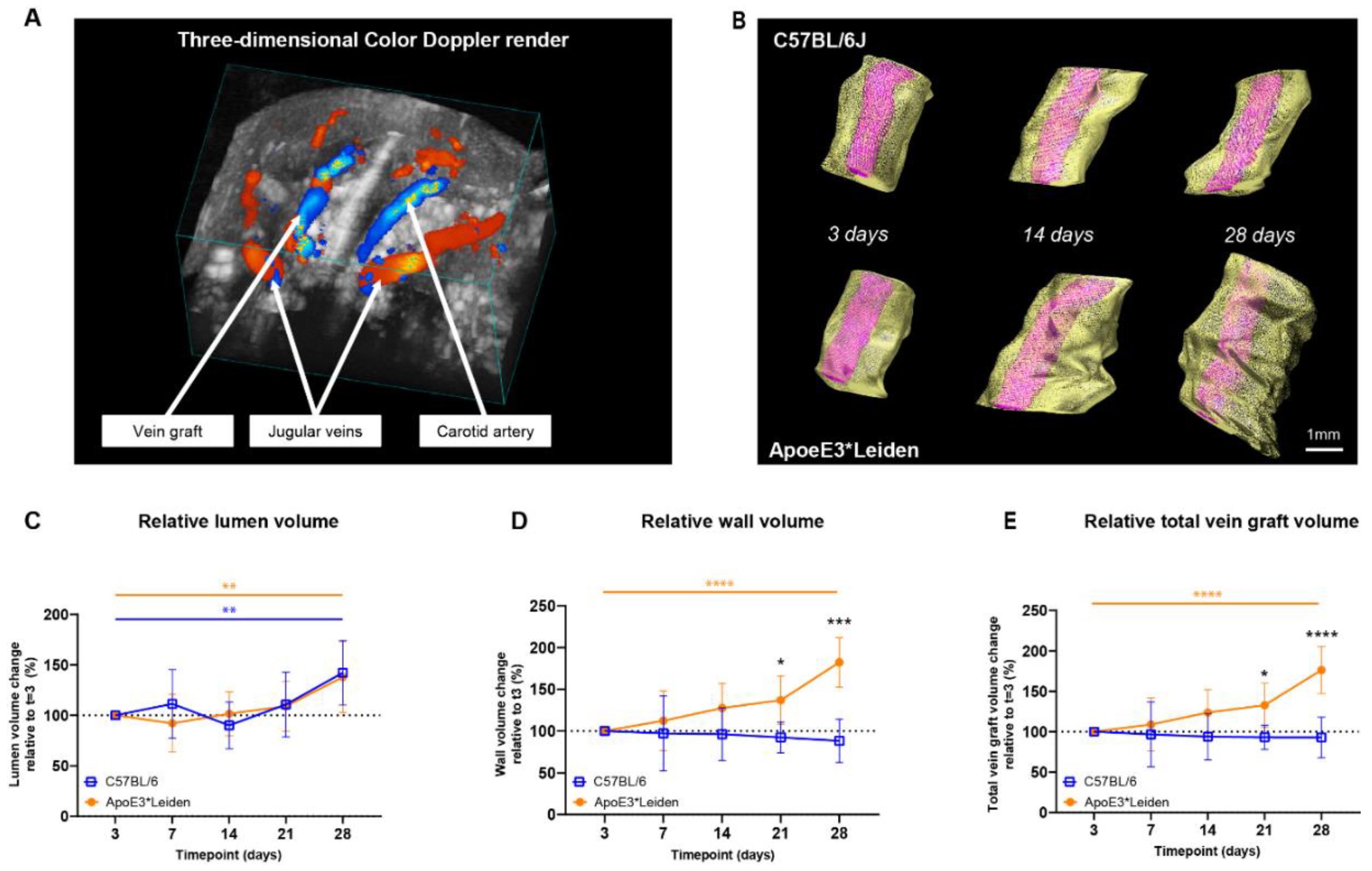 Ijms 23 13298 g002 Ijms 23 13298 g002