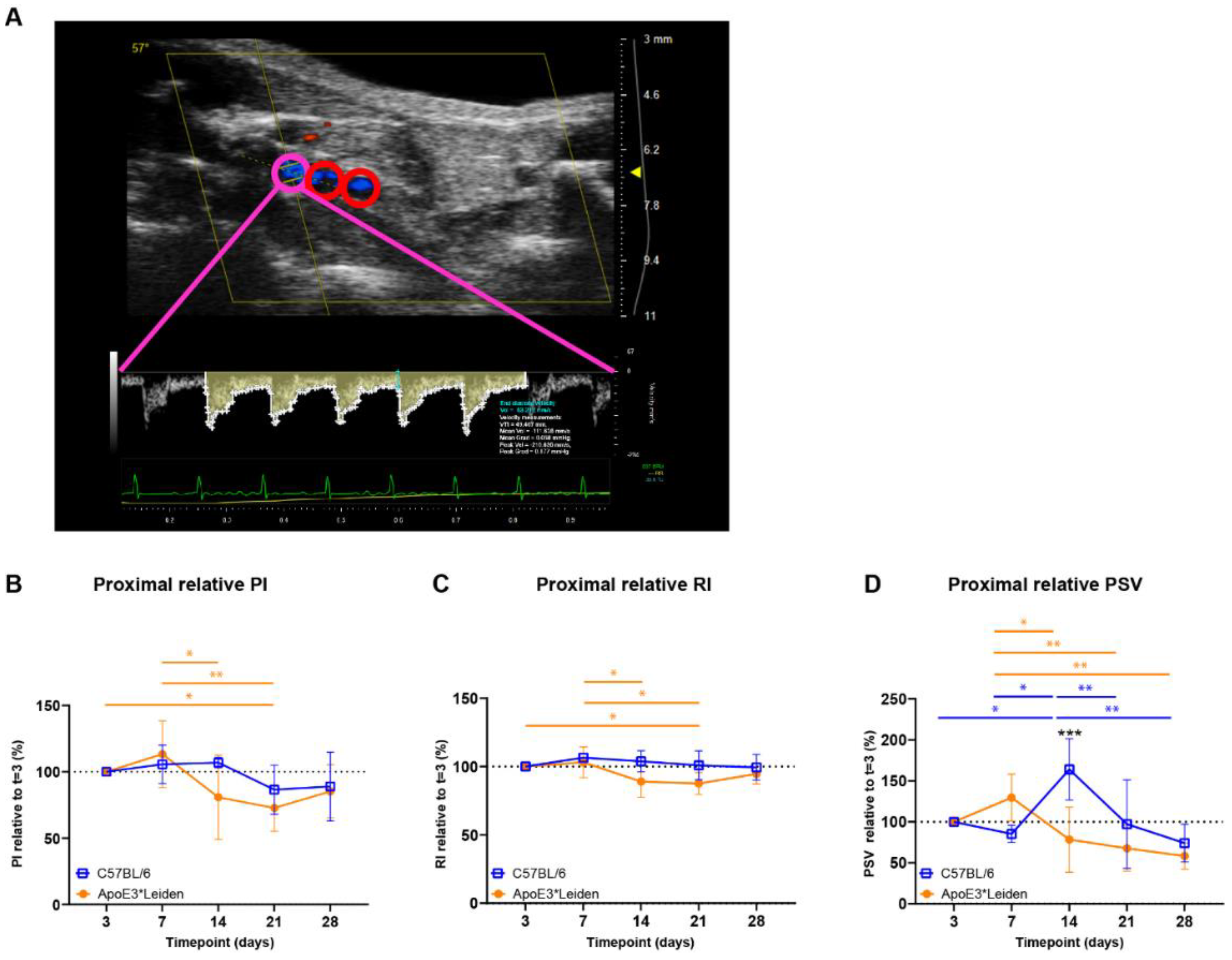 Ijms 23 13298 g003 Ijms 23 13298 g003