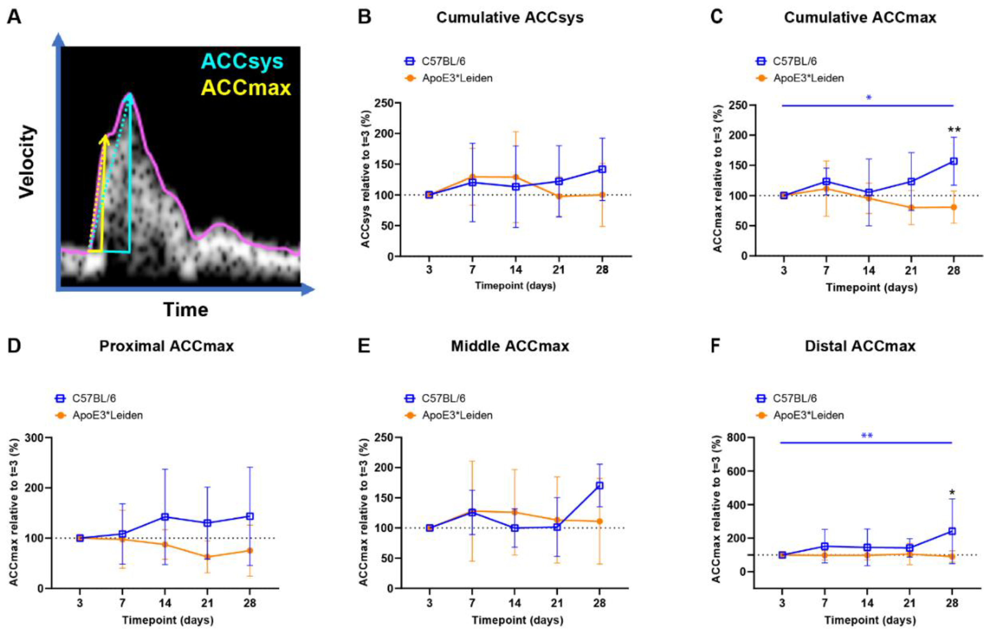 Ijms 23 13298 g004 Ijms 23 13298 g004