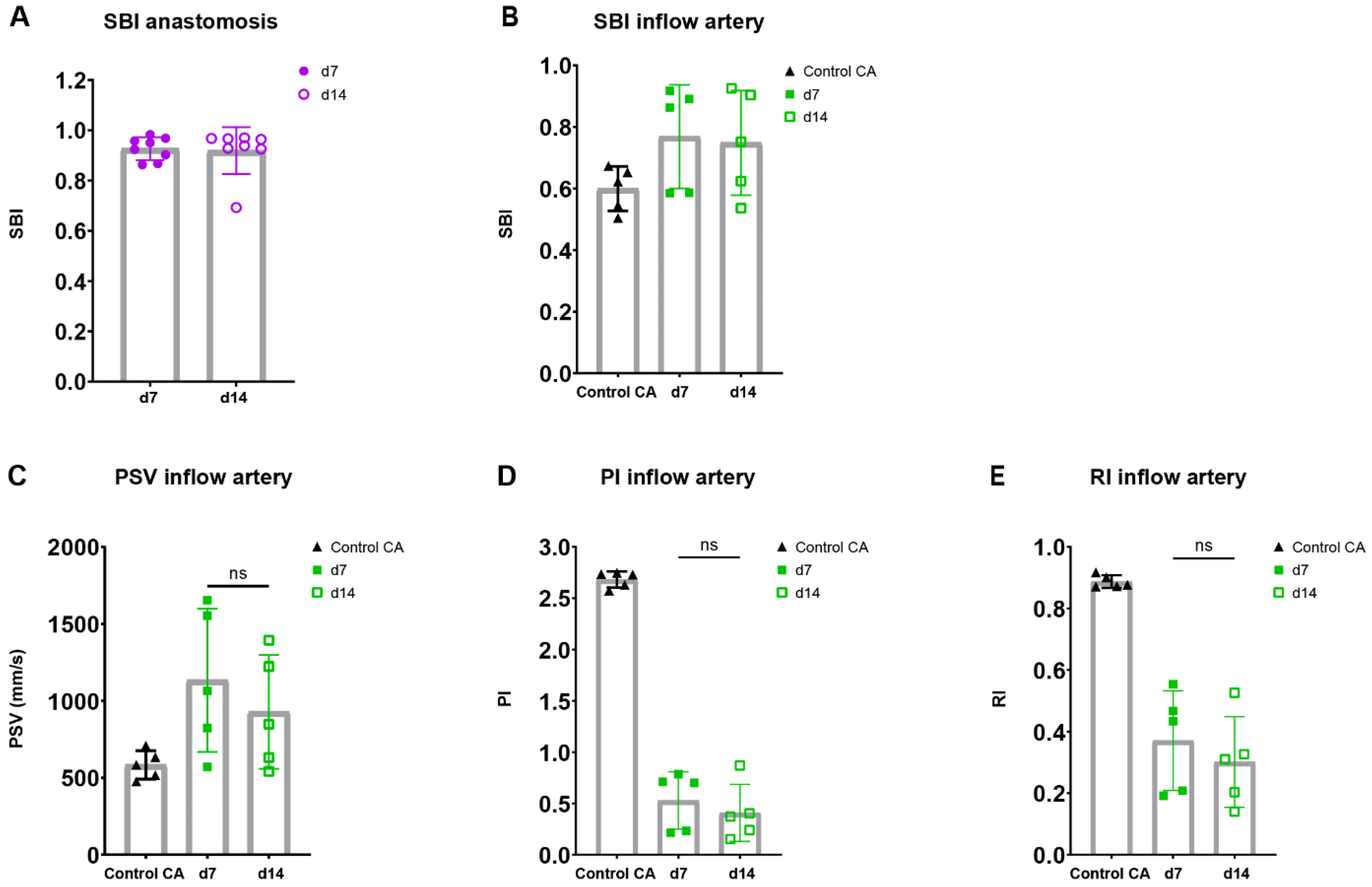 Ijms 23 13298 g006 Ijms 23 13298 g006