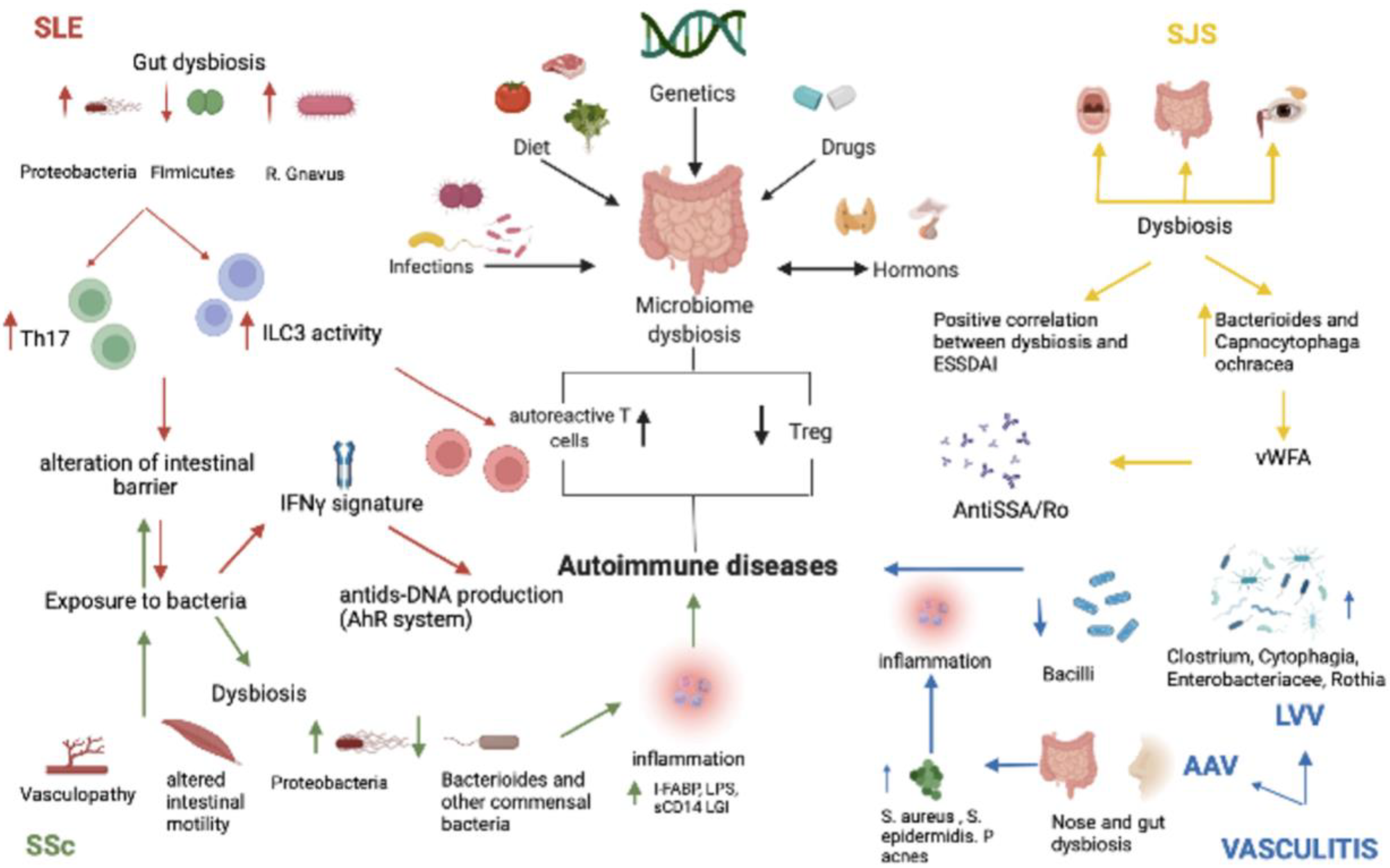 Ijms 23 13303 g001 Ijms 23 13303 g001