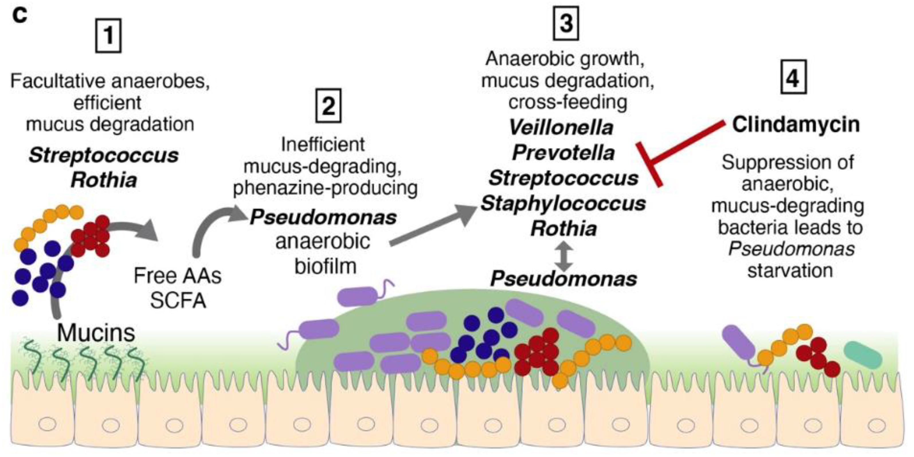 Ijms 23 13303 g002 Ijms 23 13303 g002