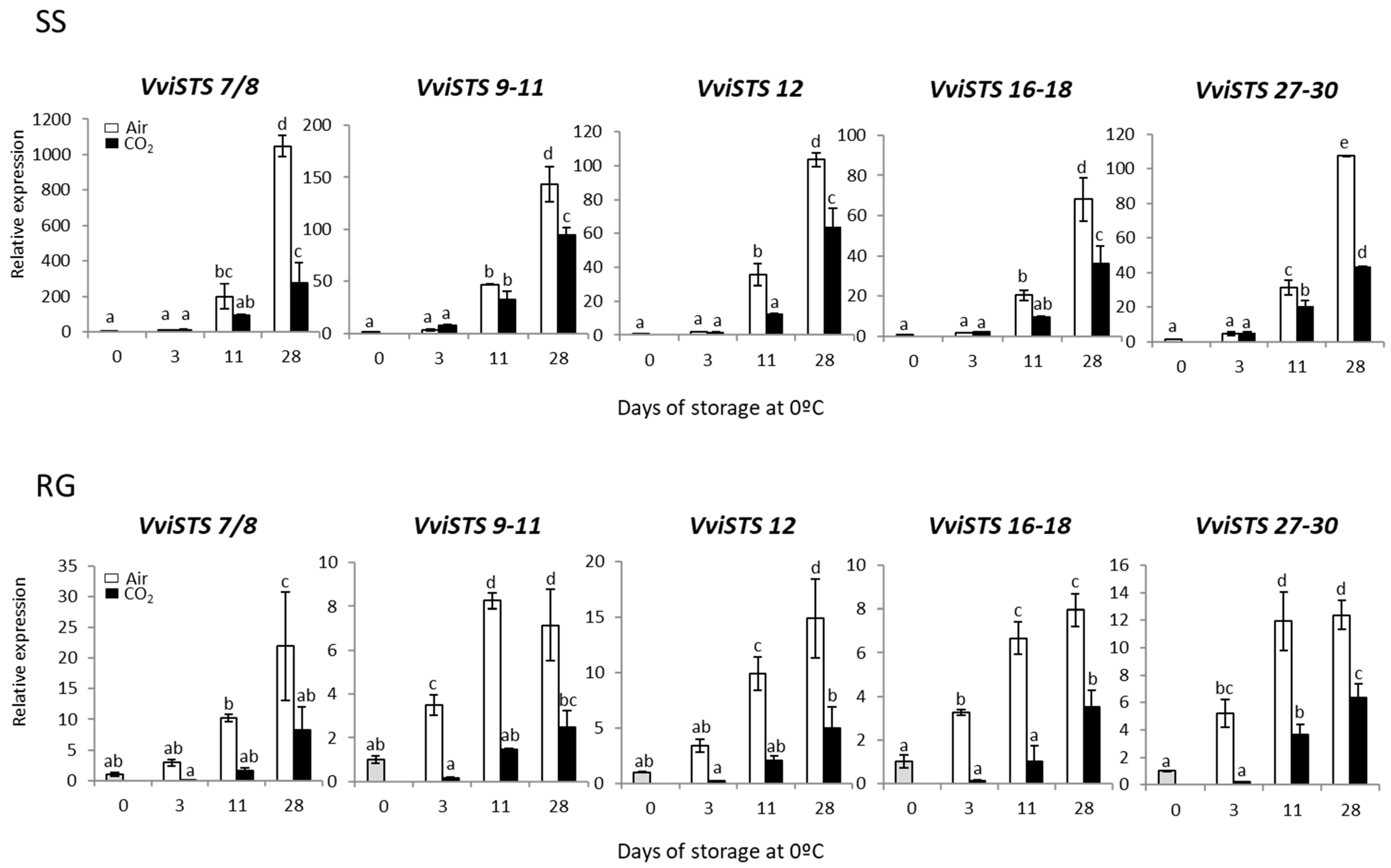 Ijms 23 13304 g003 Ijms 23 13304 g003