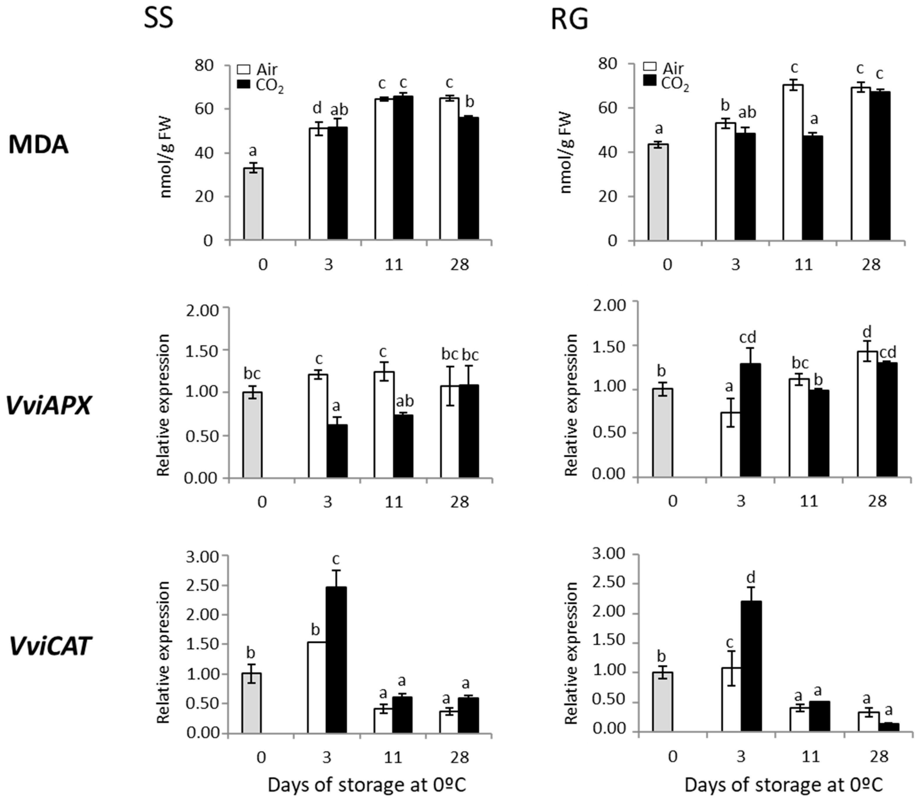 Ijms 23 13304 g004 Ijms 23 13304 g004
