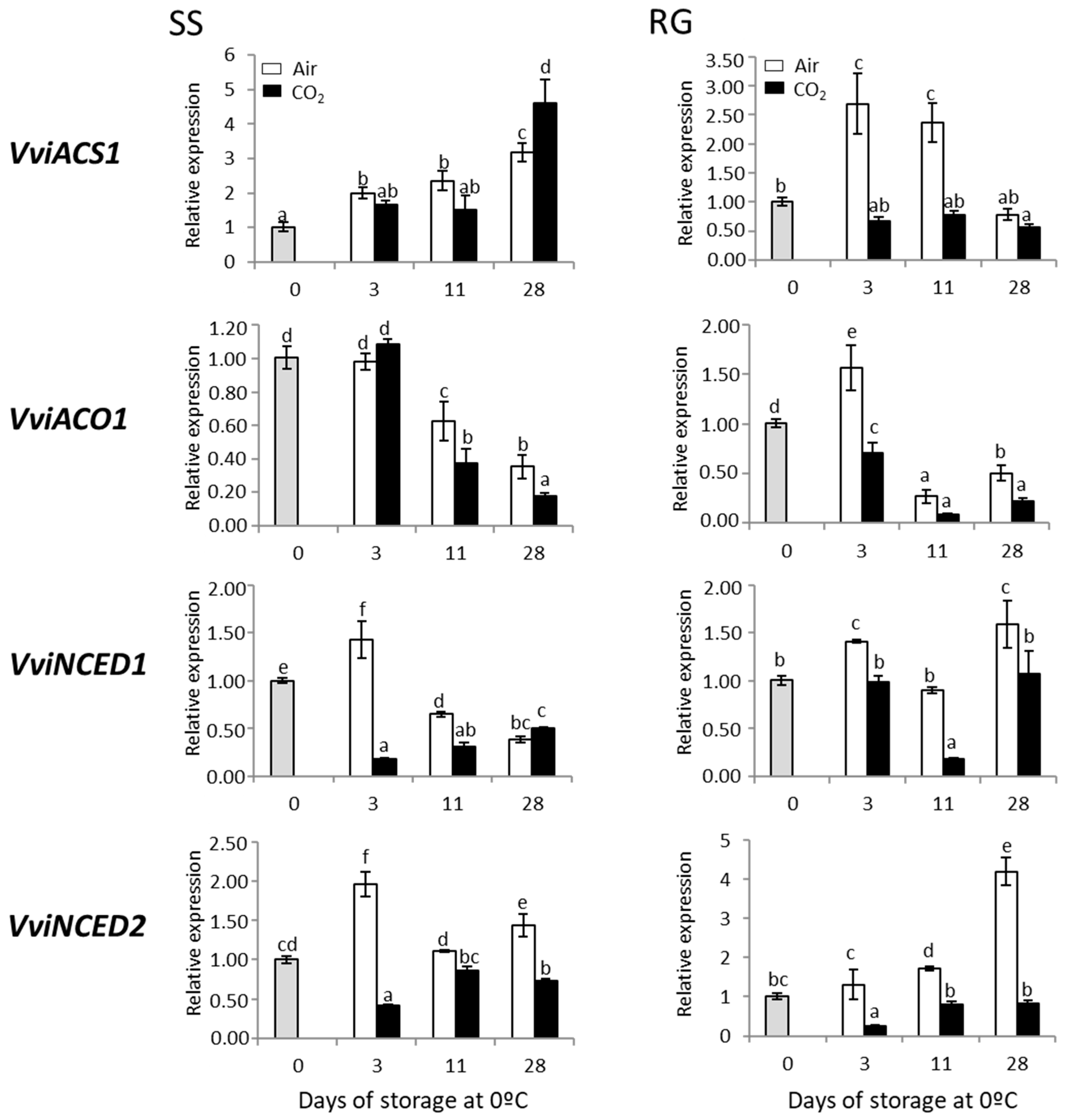 Ijms 23 13304 g005 Ijms 23 13304 g005