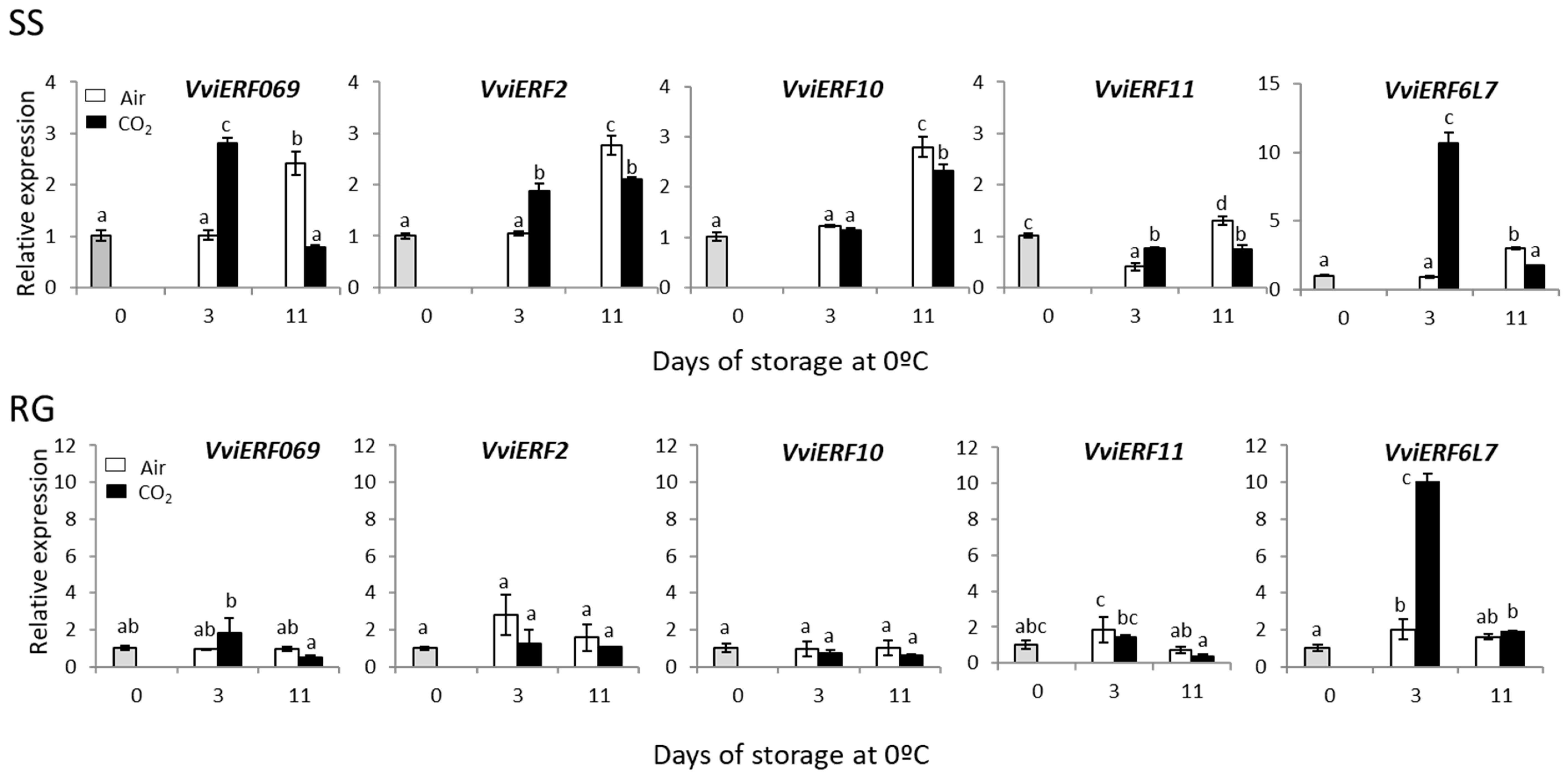 Ijms 23 13304 g006 Ijms 23 13304 g006