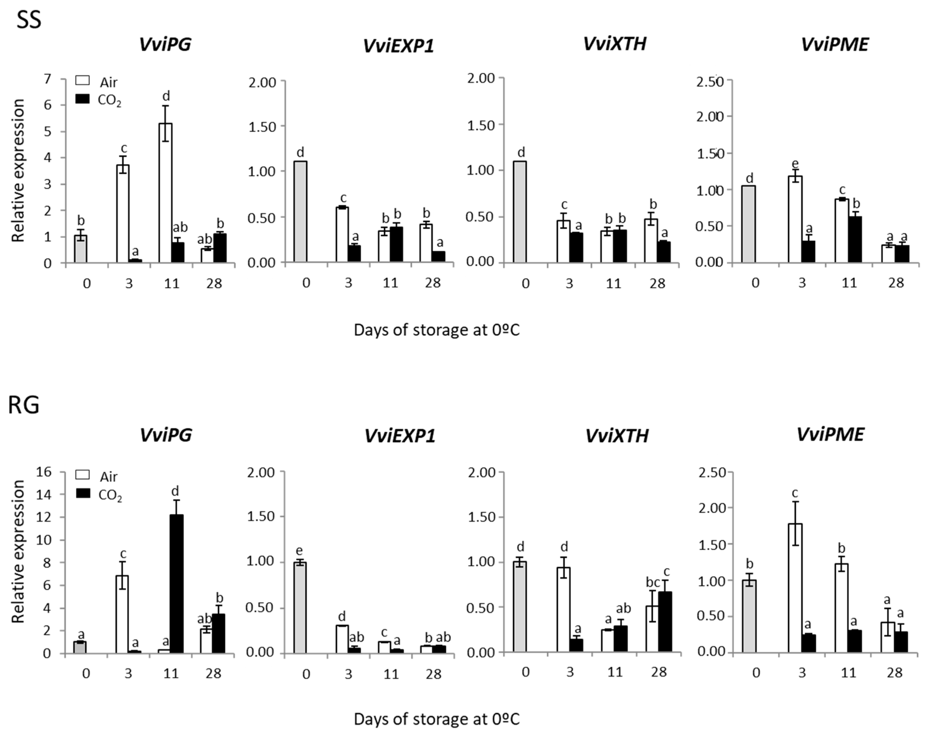 Ijms 23 13304 g007 Ijms 23 13304 g007