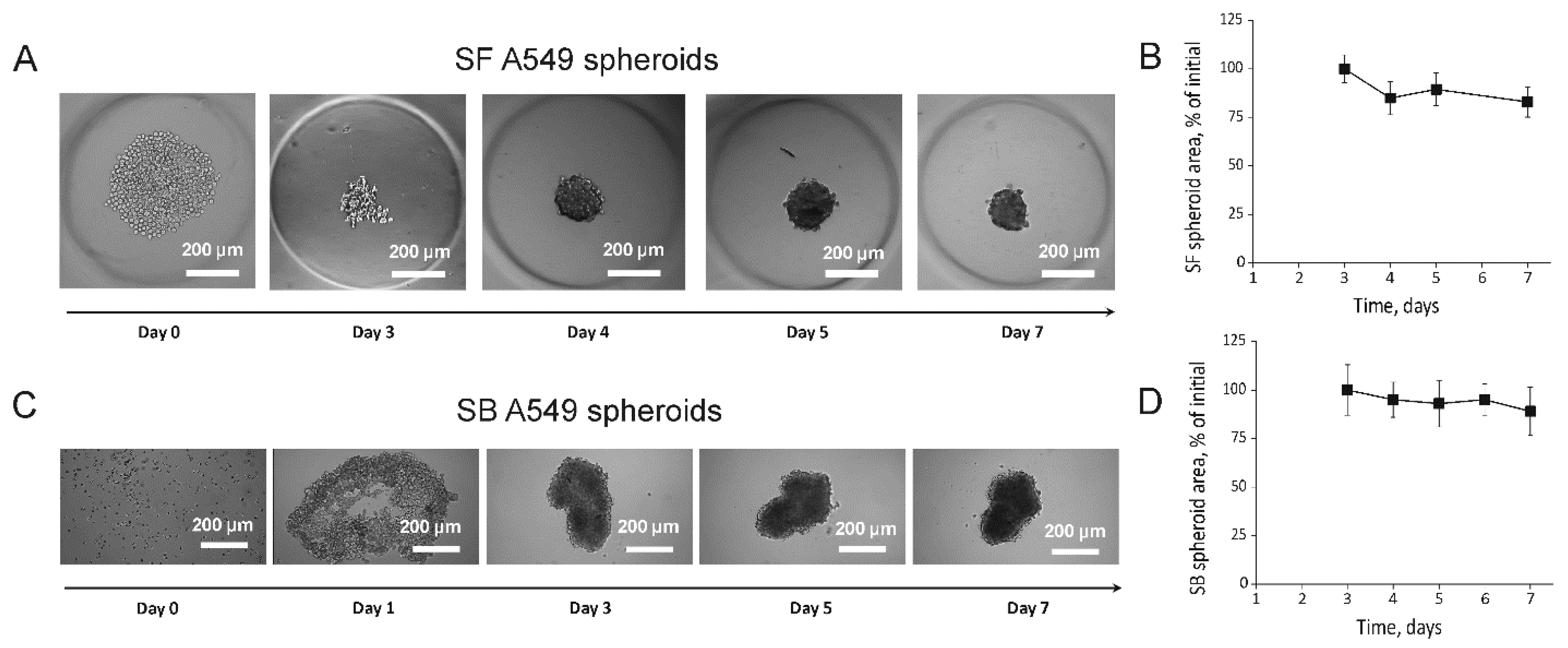 Ijms 23 13306 g001 550