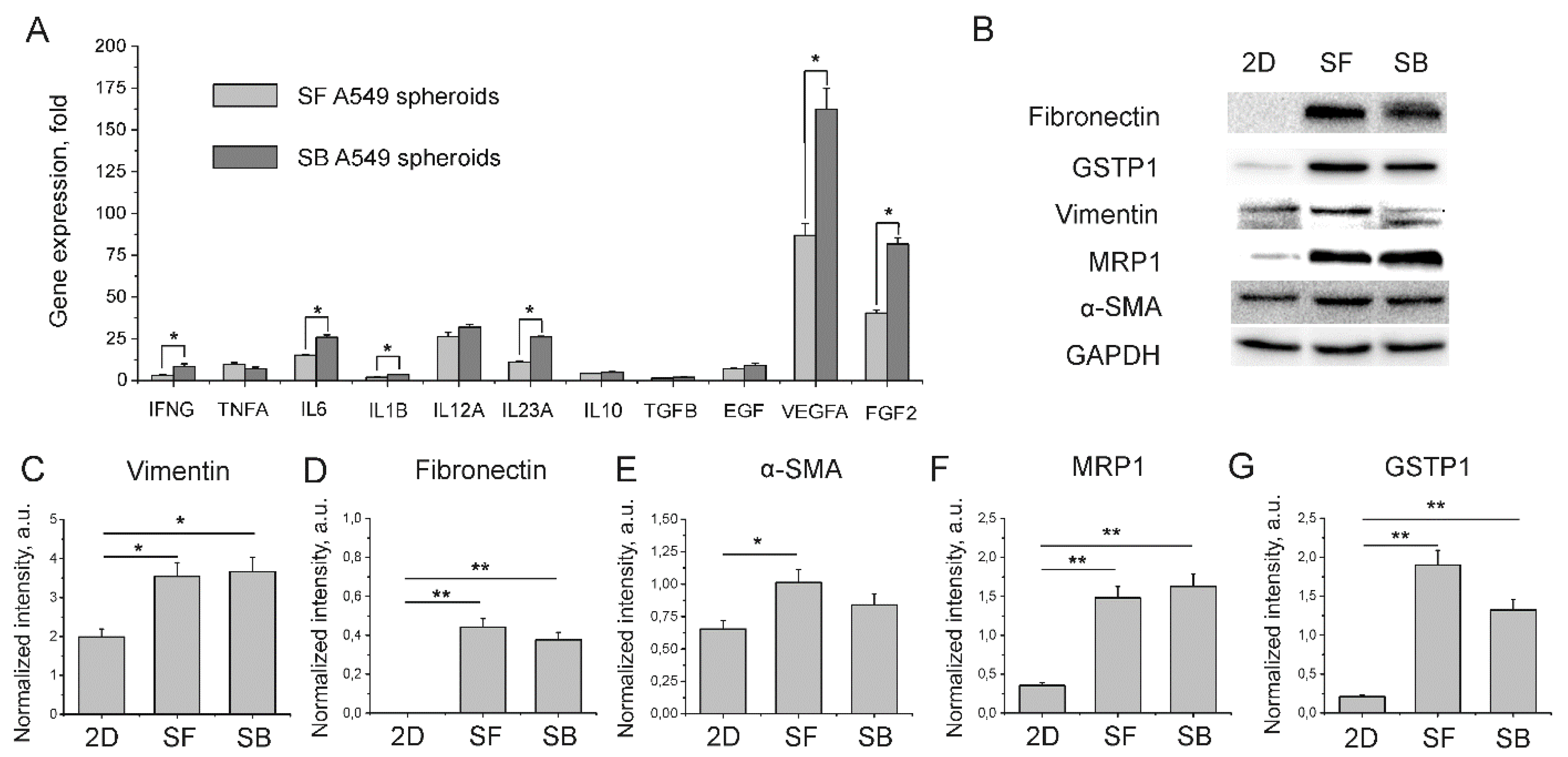 Ijms 23 13306 g004 550