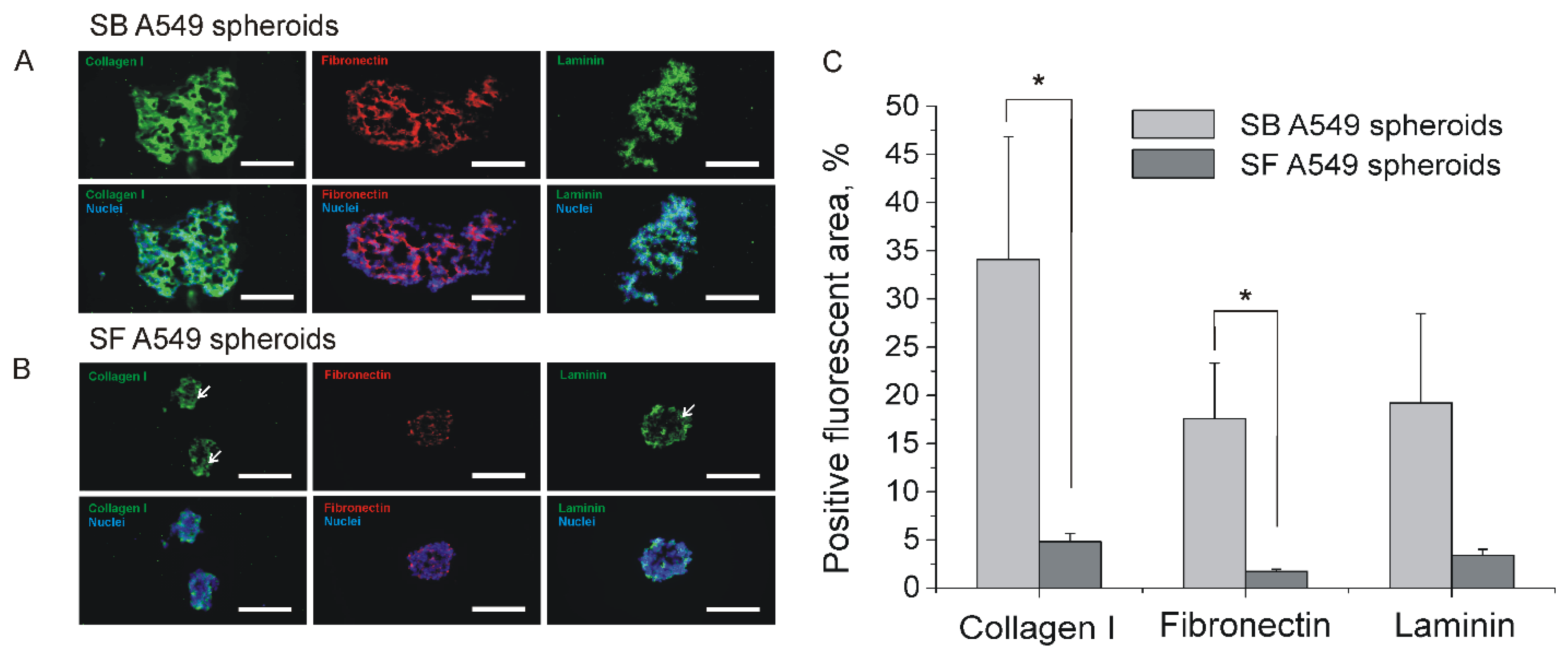 Ijms 23 13306 g005 550
