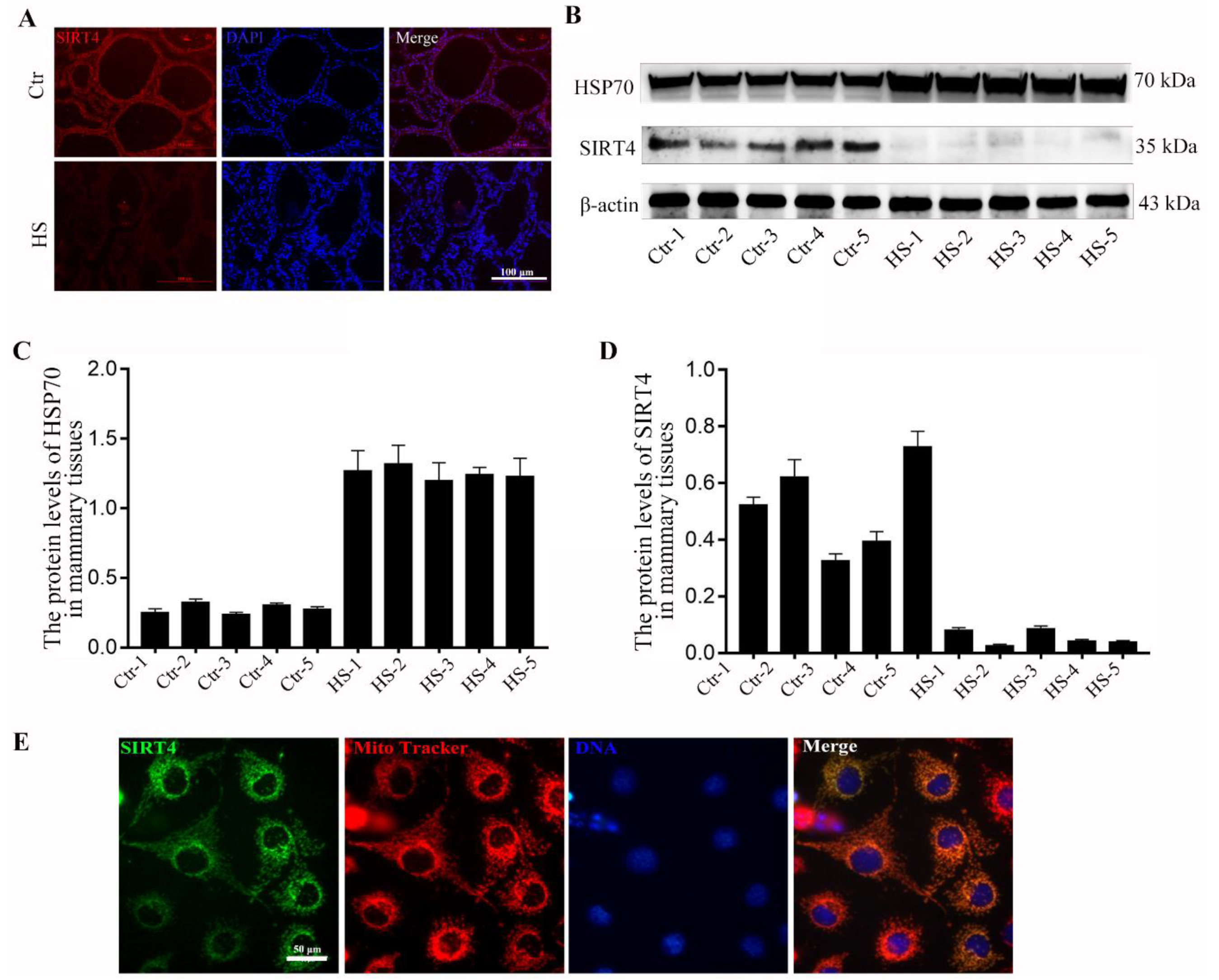 Ijms 23 13307 g001 Ijms 23 13307 g001