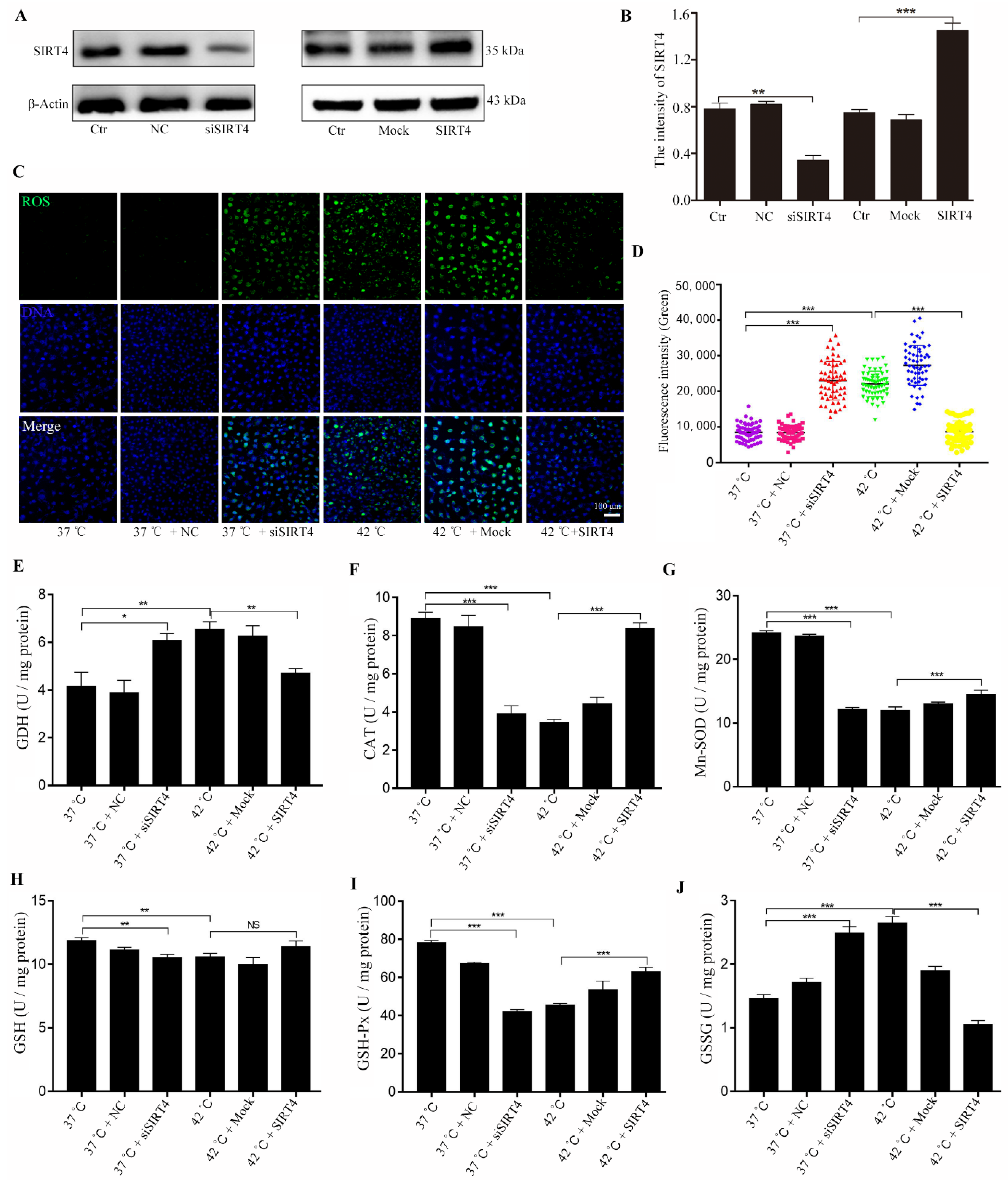 Ijms 23 13307 g002 Ijms 23 13307 g002