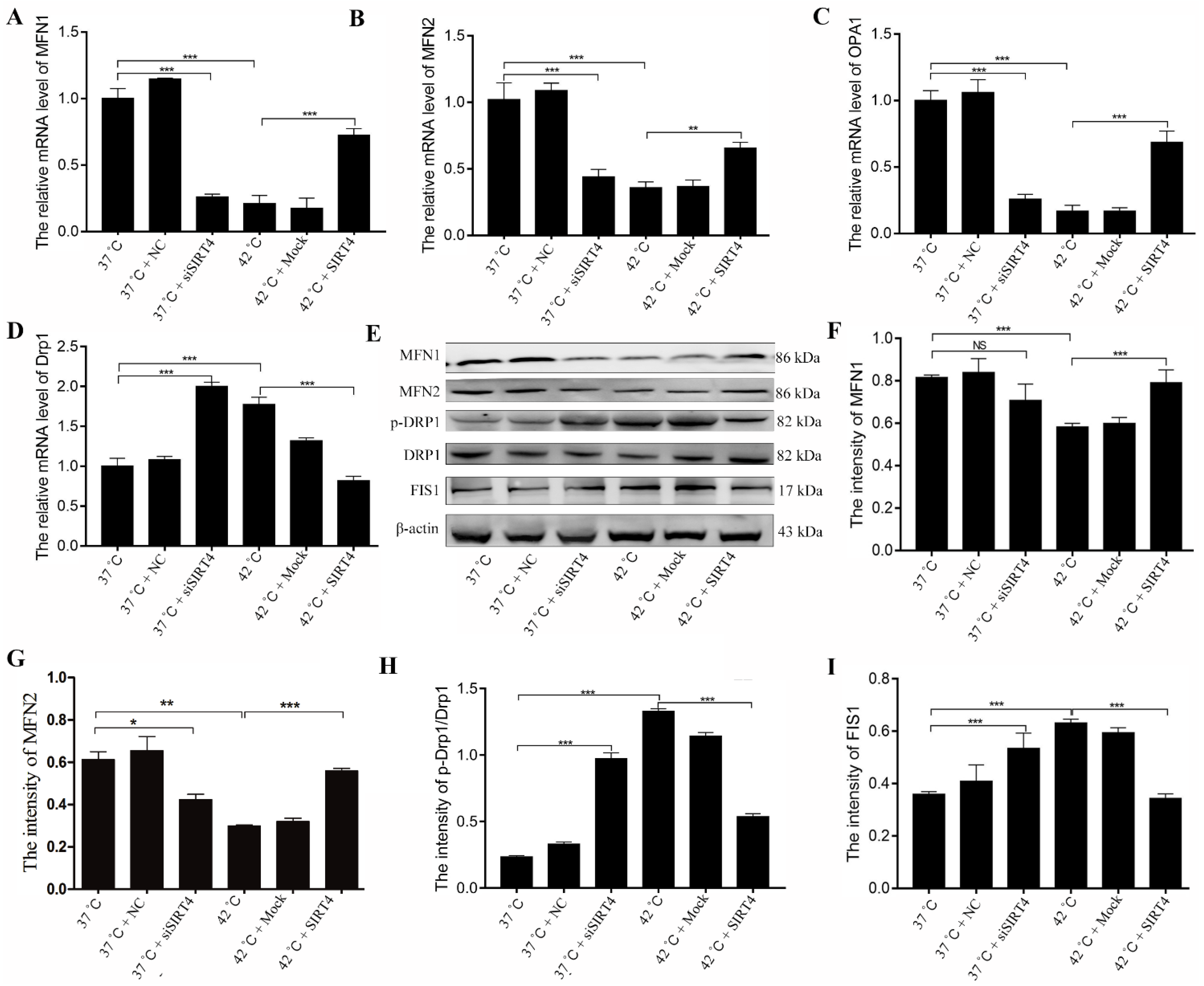 Ijms 23 13307 g003 Ijms 23 13307 g003