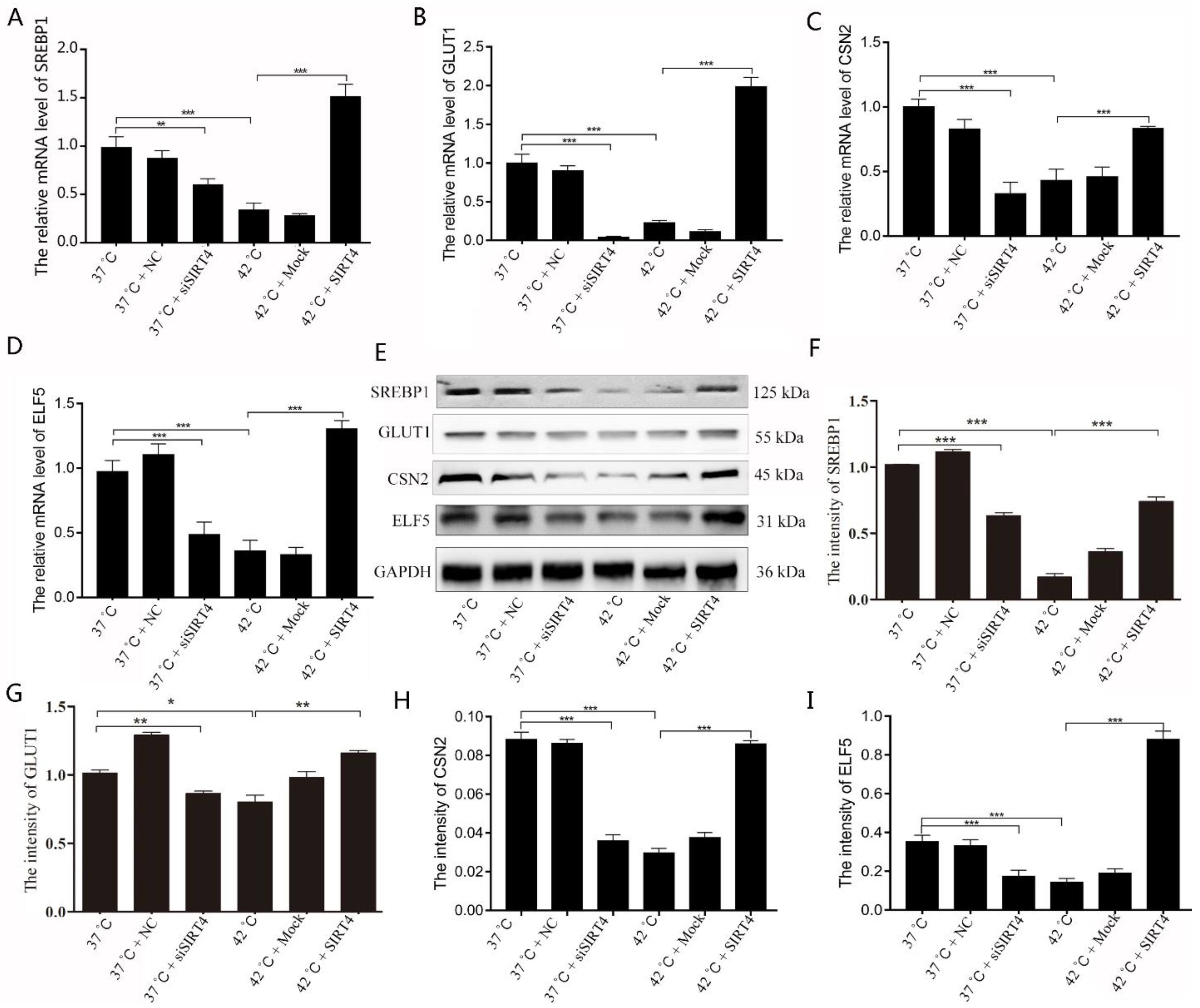 Ijms 23 13307 g005 Ijms 23 13307 g005