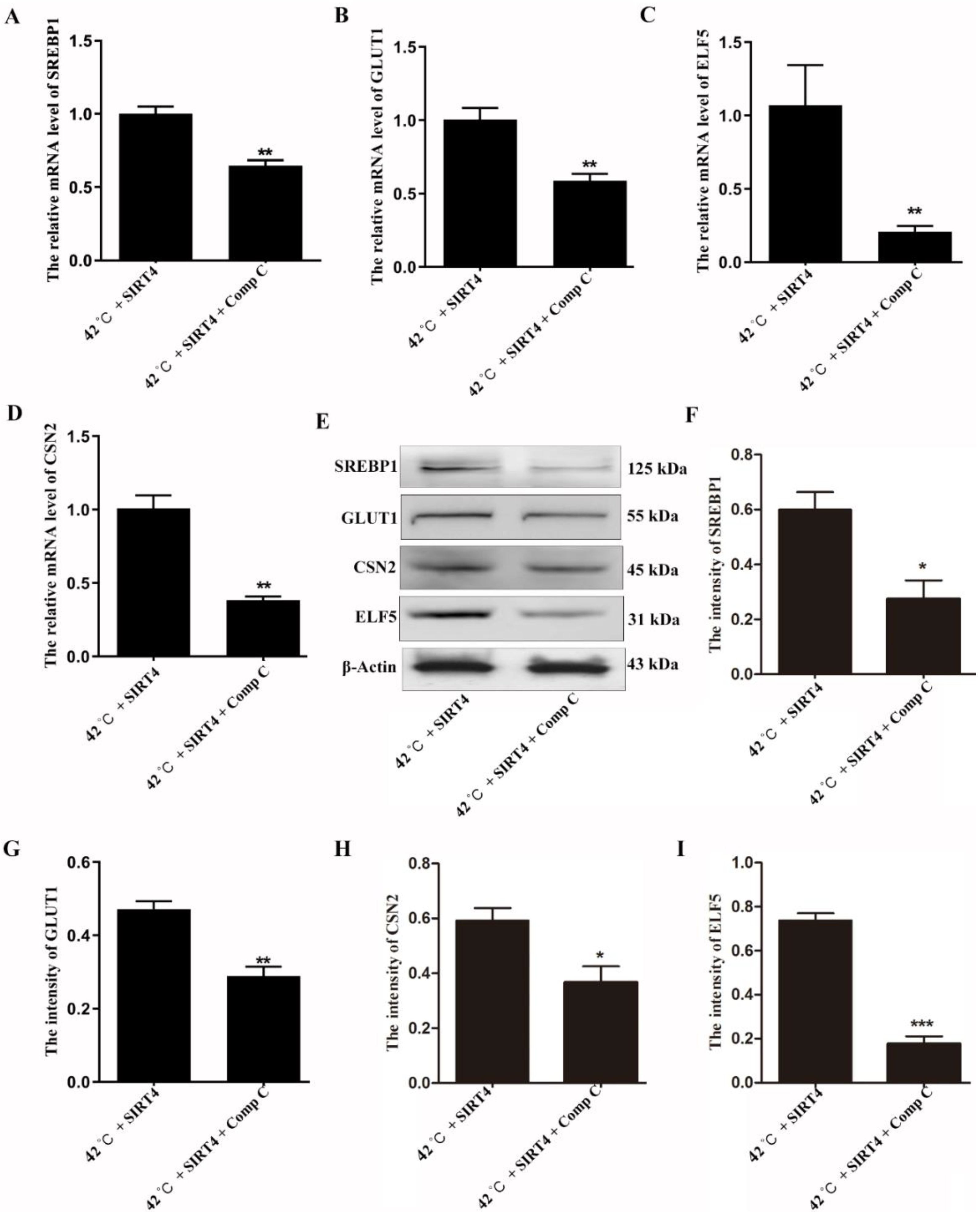Ijms 23 13307 g006 Ijms 23 13307 g006