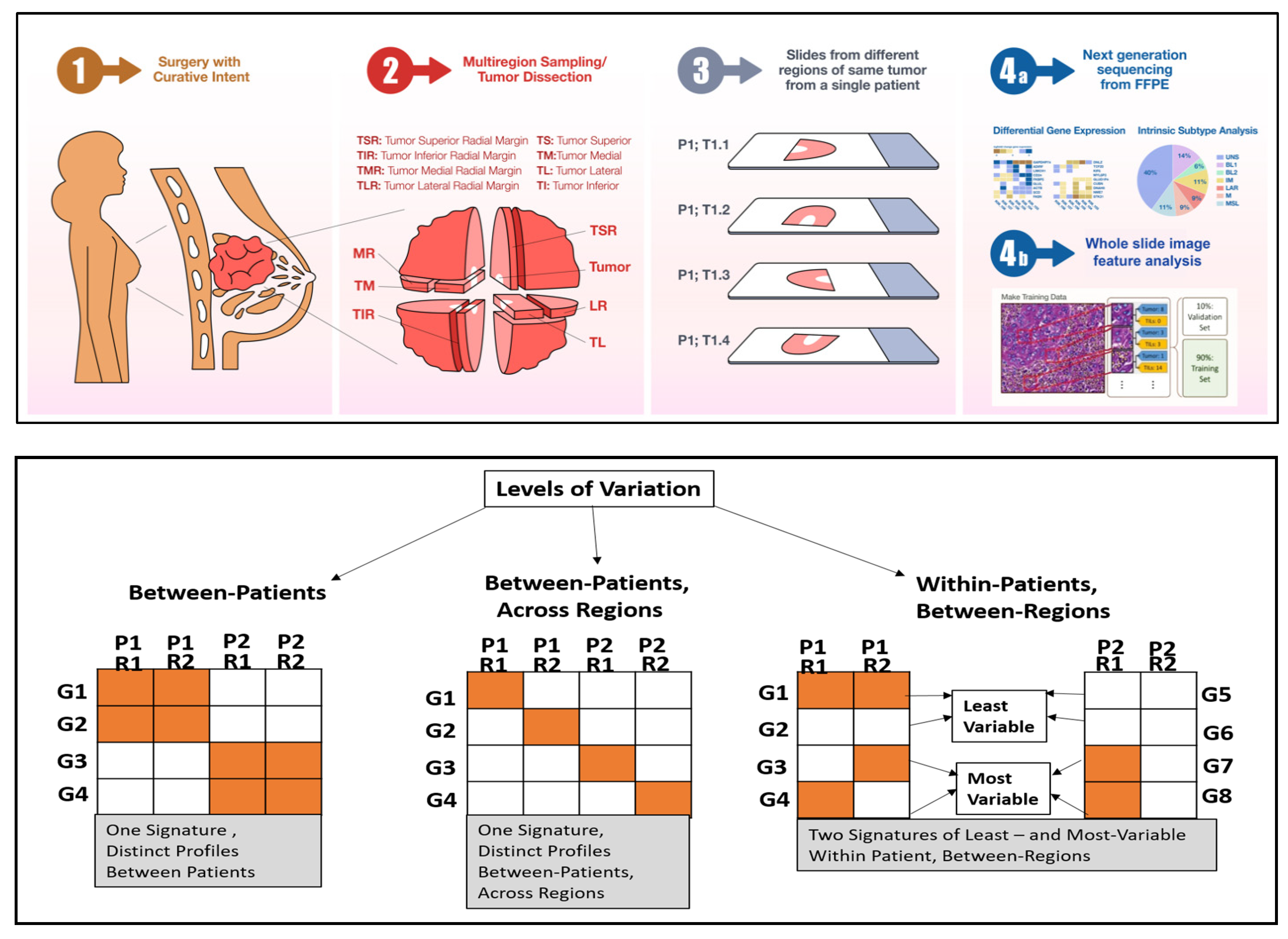 Ijms 23 13322 g001 Ijms 23 13322 g001