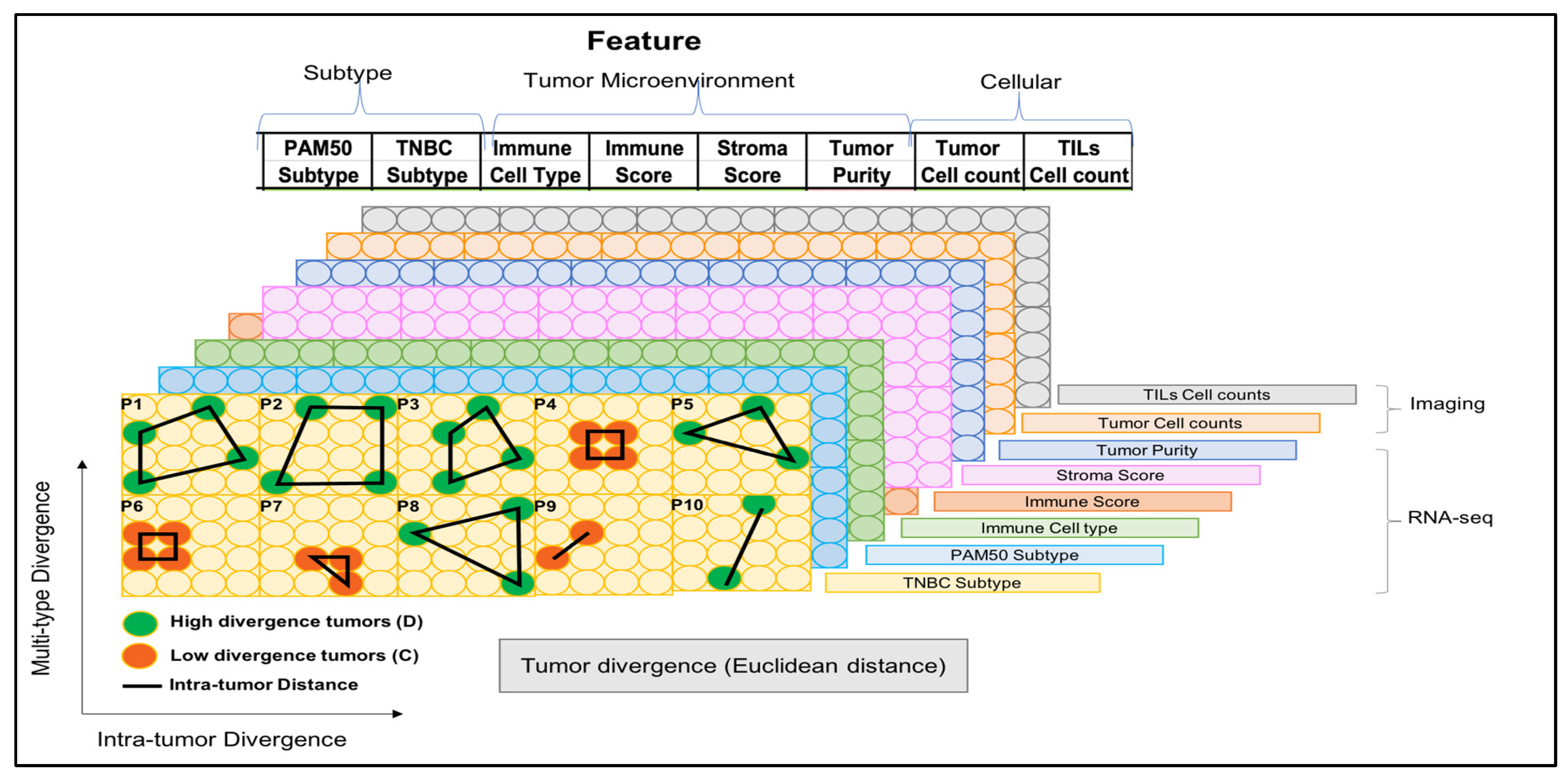 Ijms 23 13322 g005 Ijms 23 13322 g005