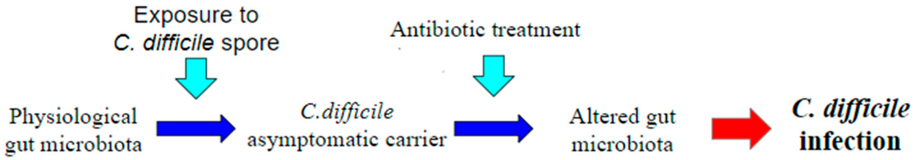 Ijms 23 13323 g002 Ijms 23 13323 g002