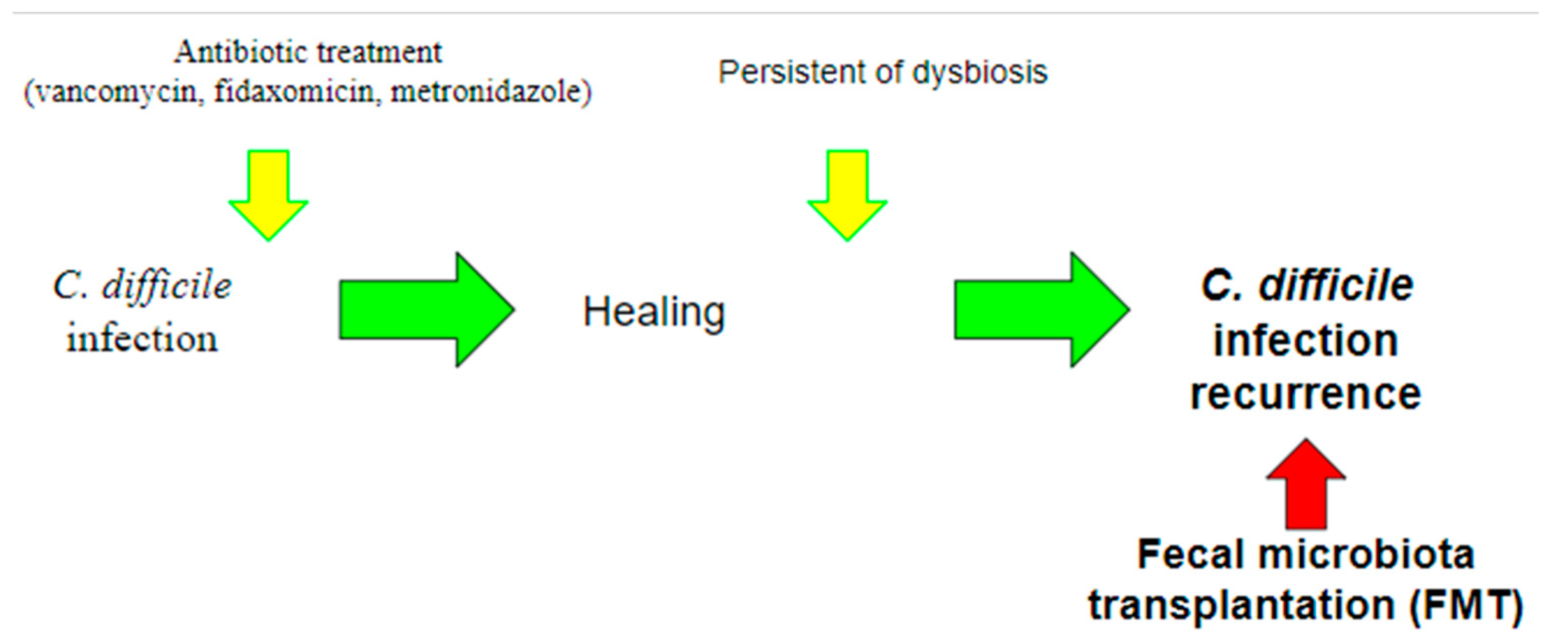 Ijms 23 13323 g003 Ijms 23 13323 g003