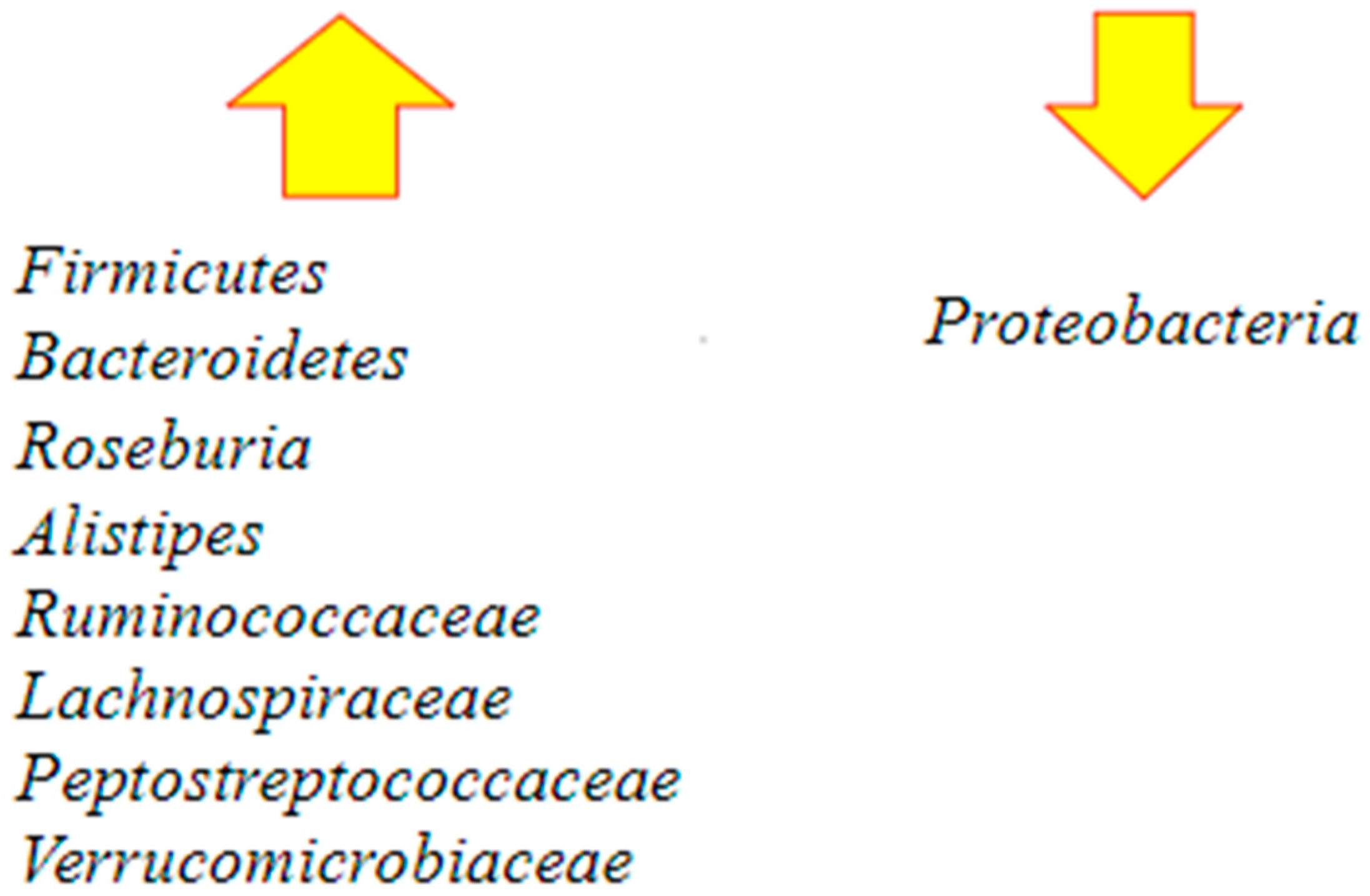 Ijms 23 13323 g004 Ijms 23 13323 g004