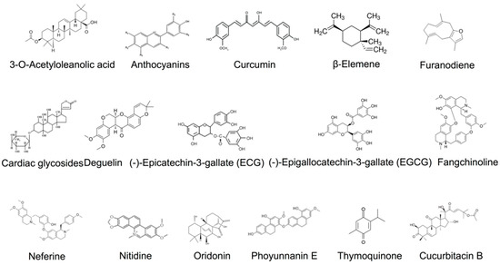 Potential Focal Adhesion Kinase Inhibitors in Management of