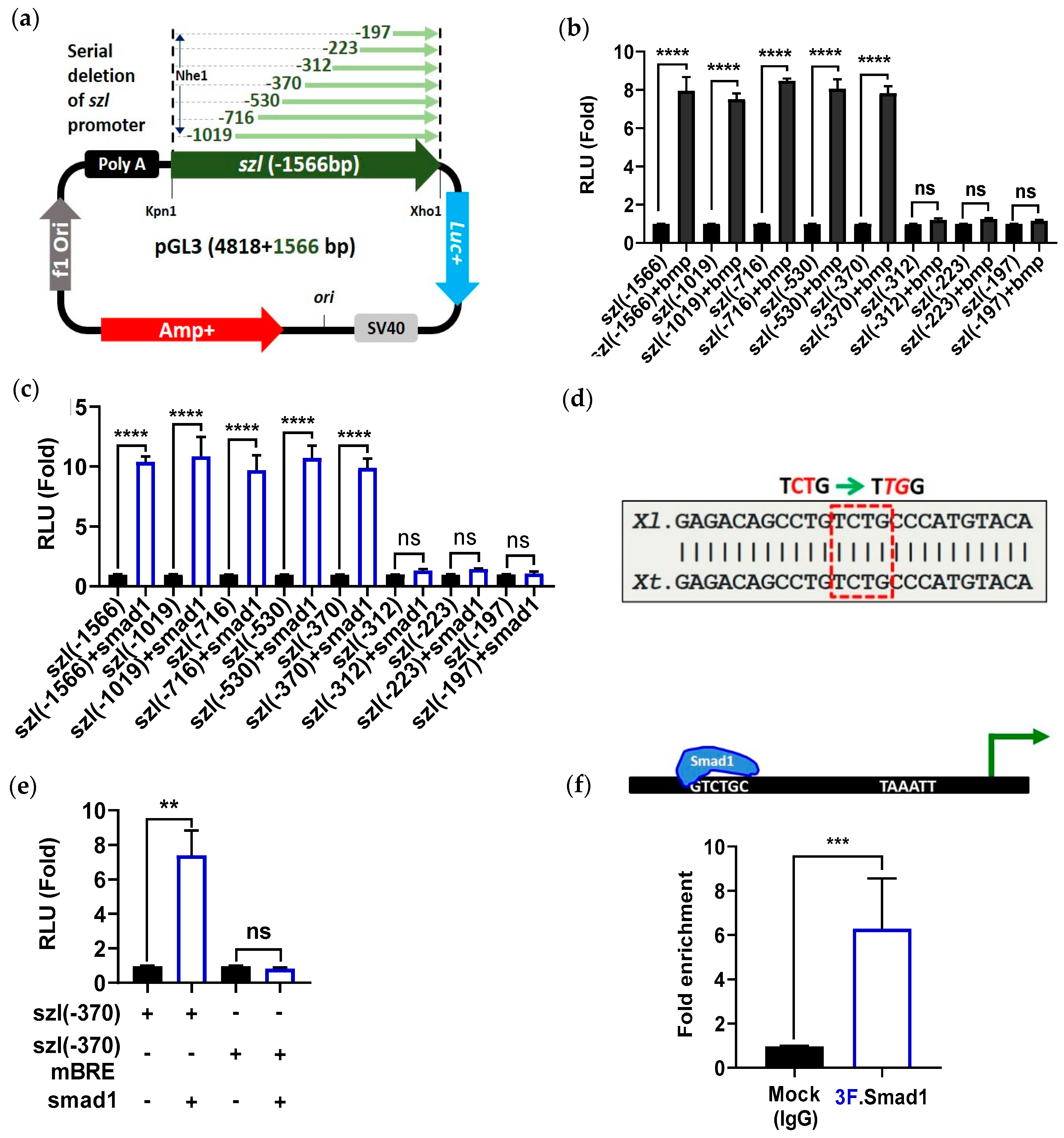 Ijms 23 13335 g002 Ijms 23 13335 g002