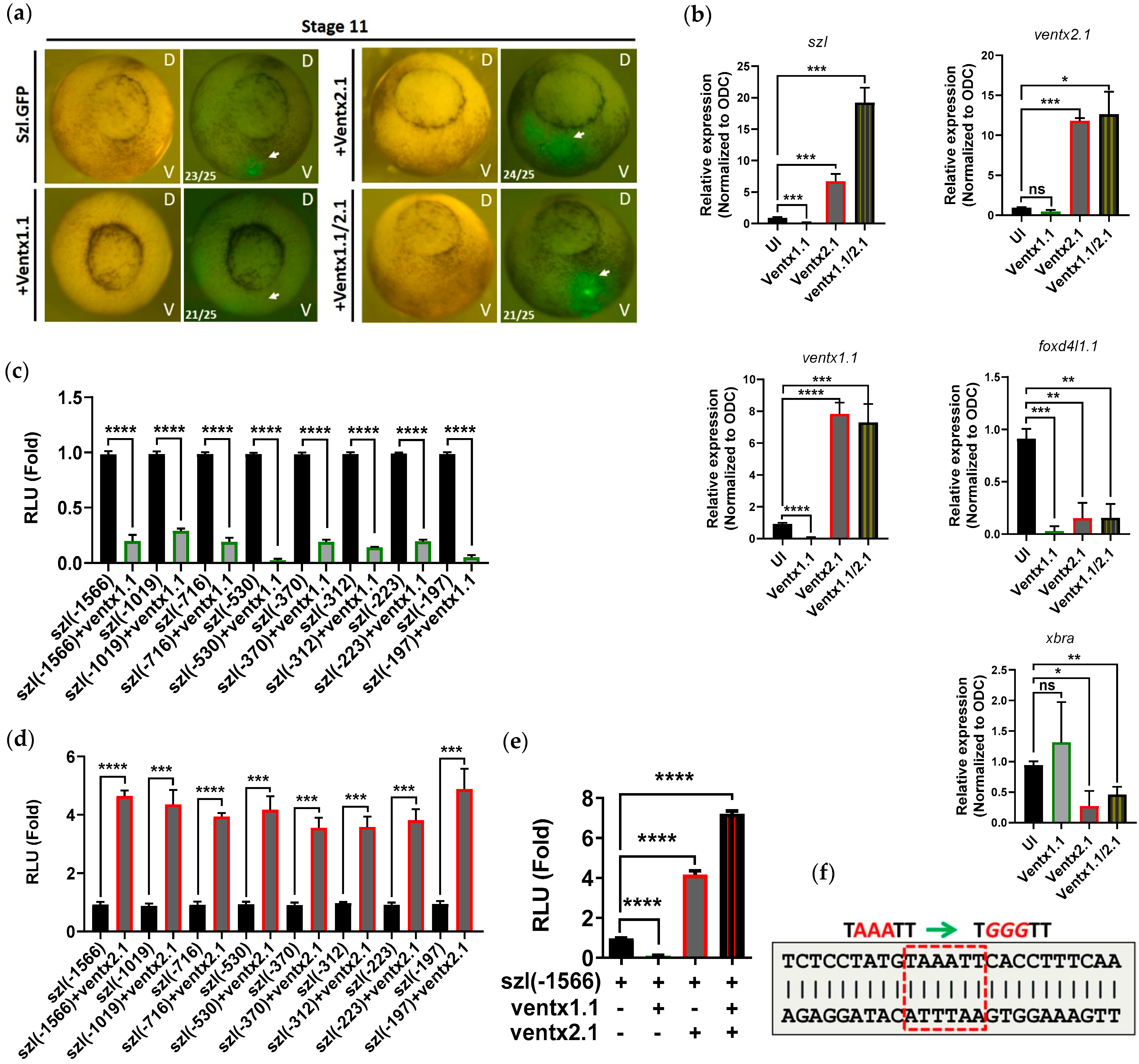 Ijms 23 13335 g003 Ijms 23 13335 g003