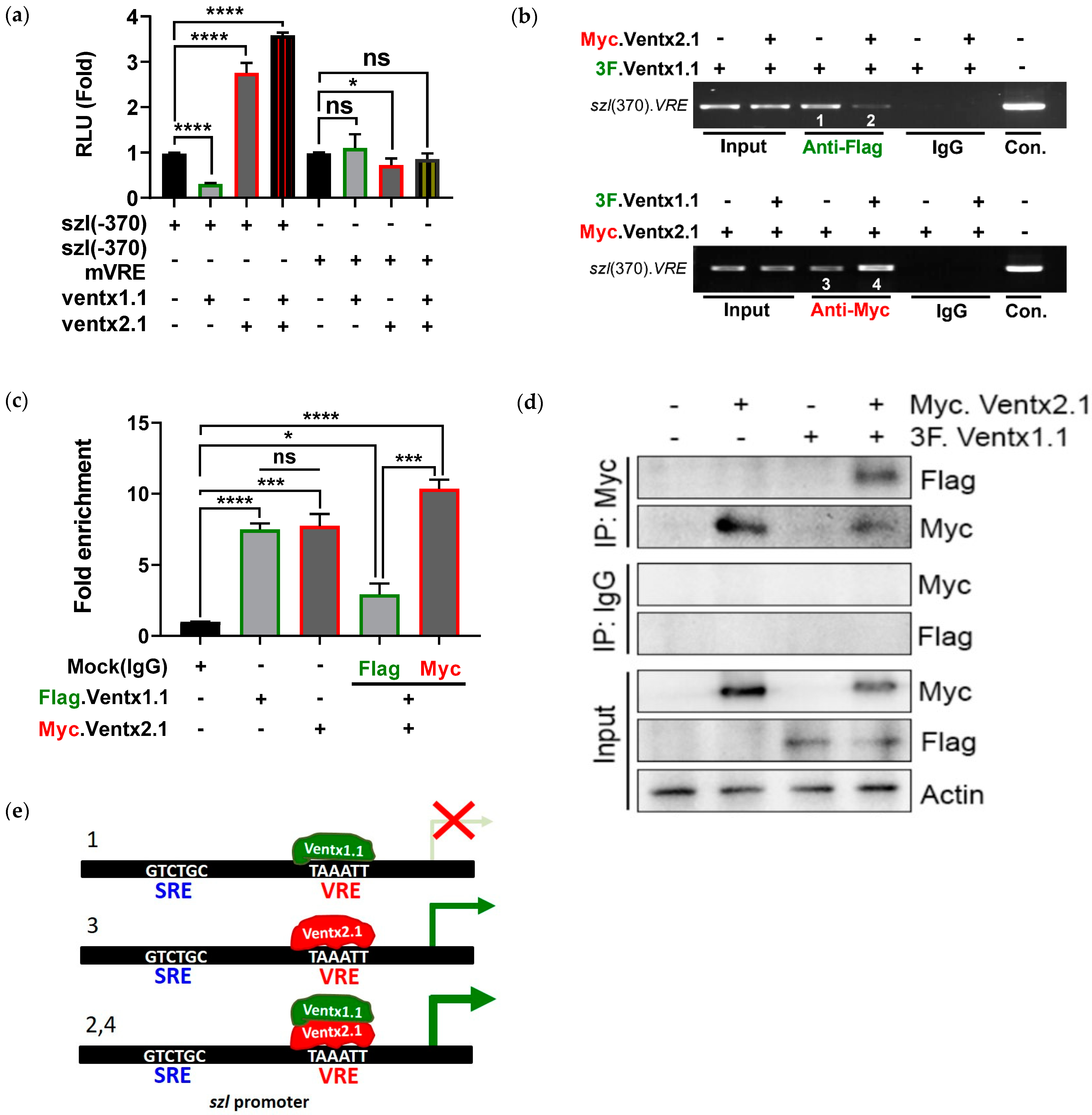 Ijms 23 13335 g004 Ijms 23 13335 g004