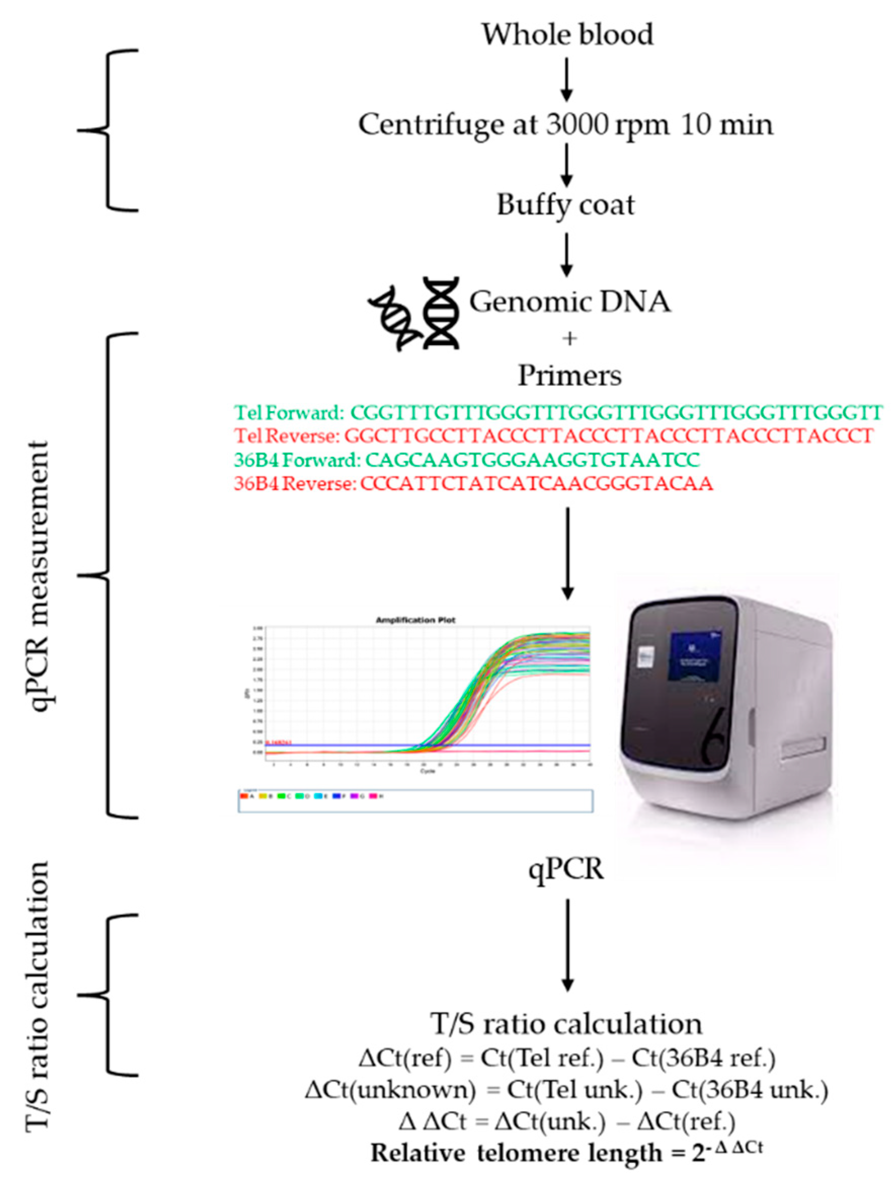 Ijms 23 13336 g004 Ijms 23 13336 g004