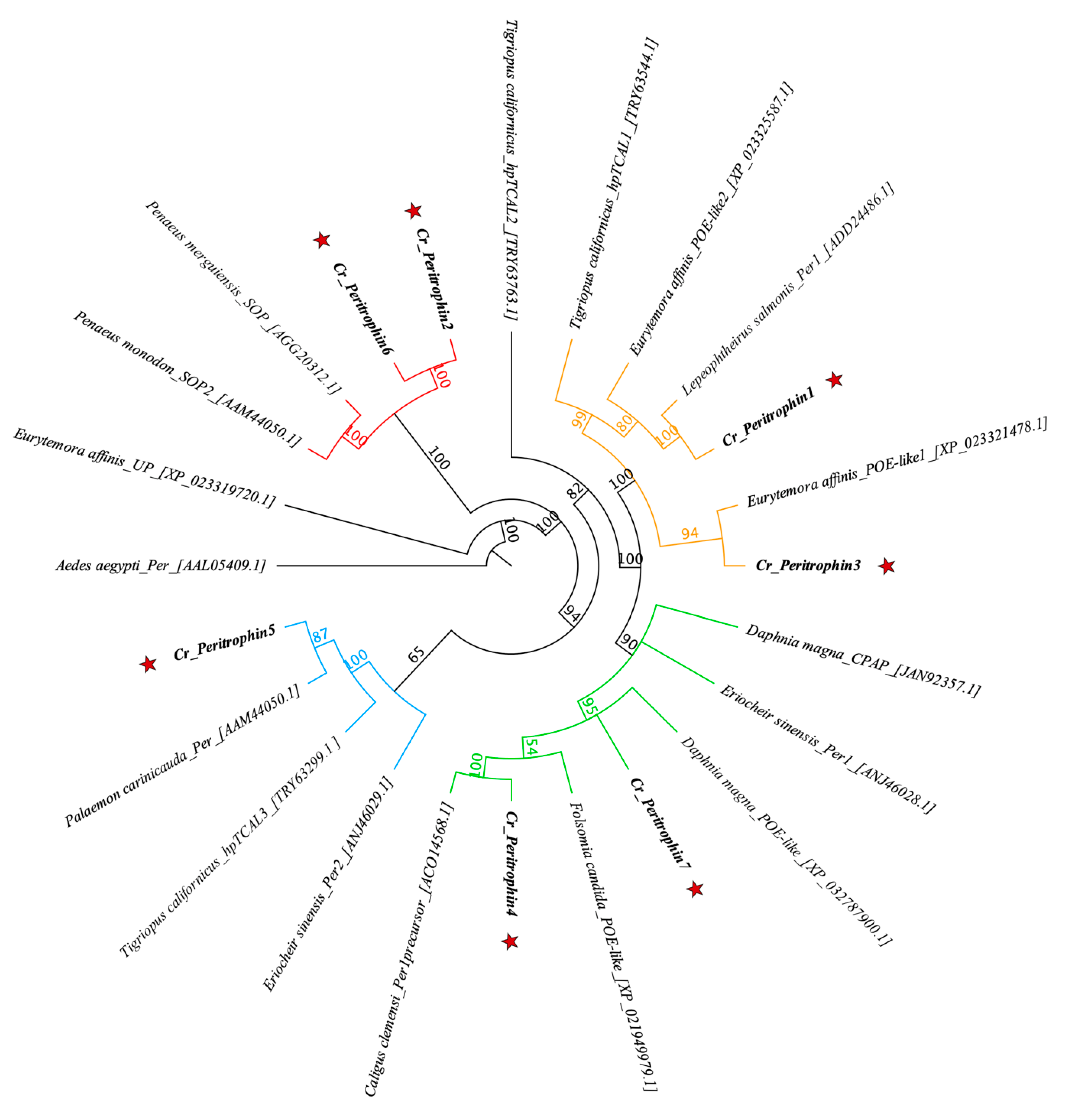 Ijms 23 13341 g001 Ijms 23 13341 g001