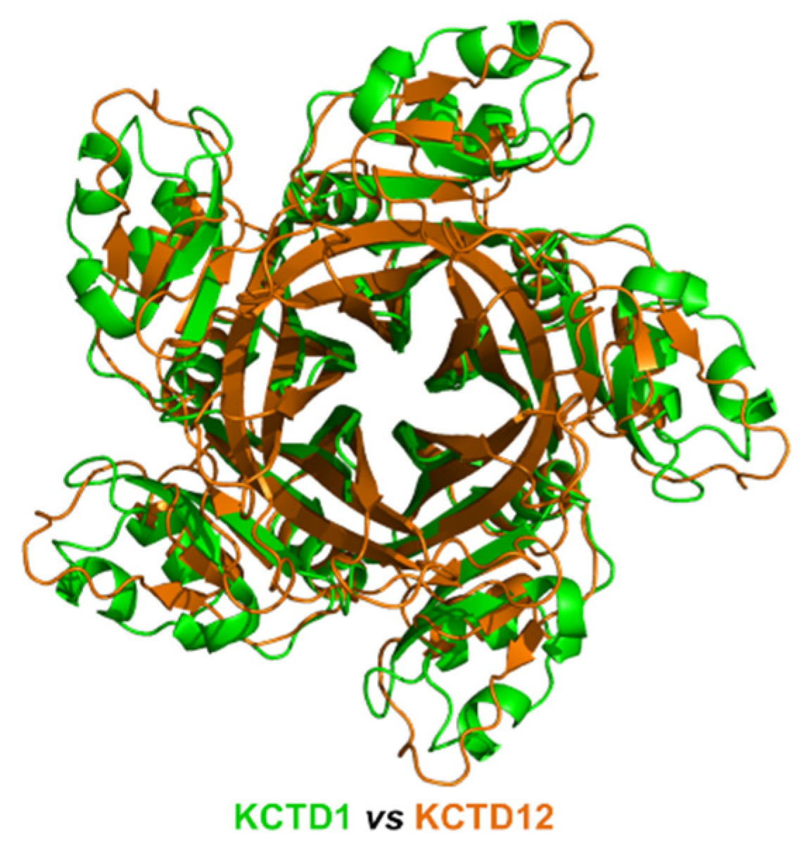 Ijms 23 13346 g002 Ijms 23 13346 g002