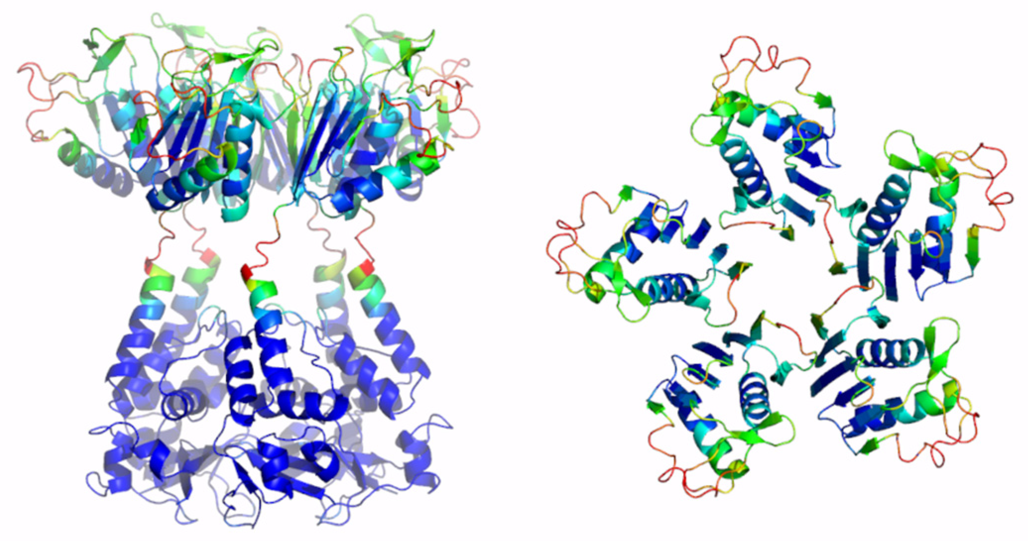 Ijms 23 13346 g005 Ijms 23 13346 g005